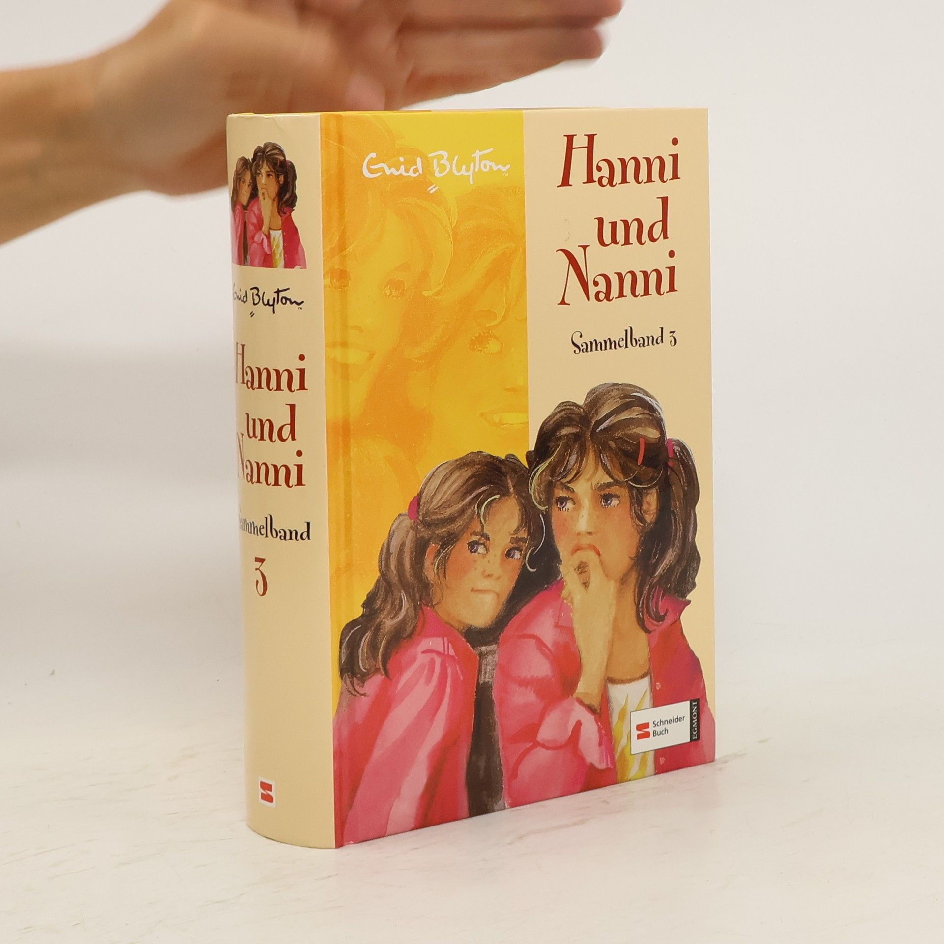 Enid Blyton Hanni und Nanni. Sammelband 3