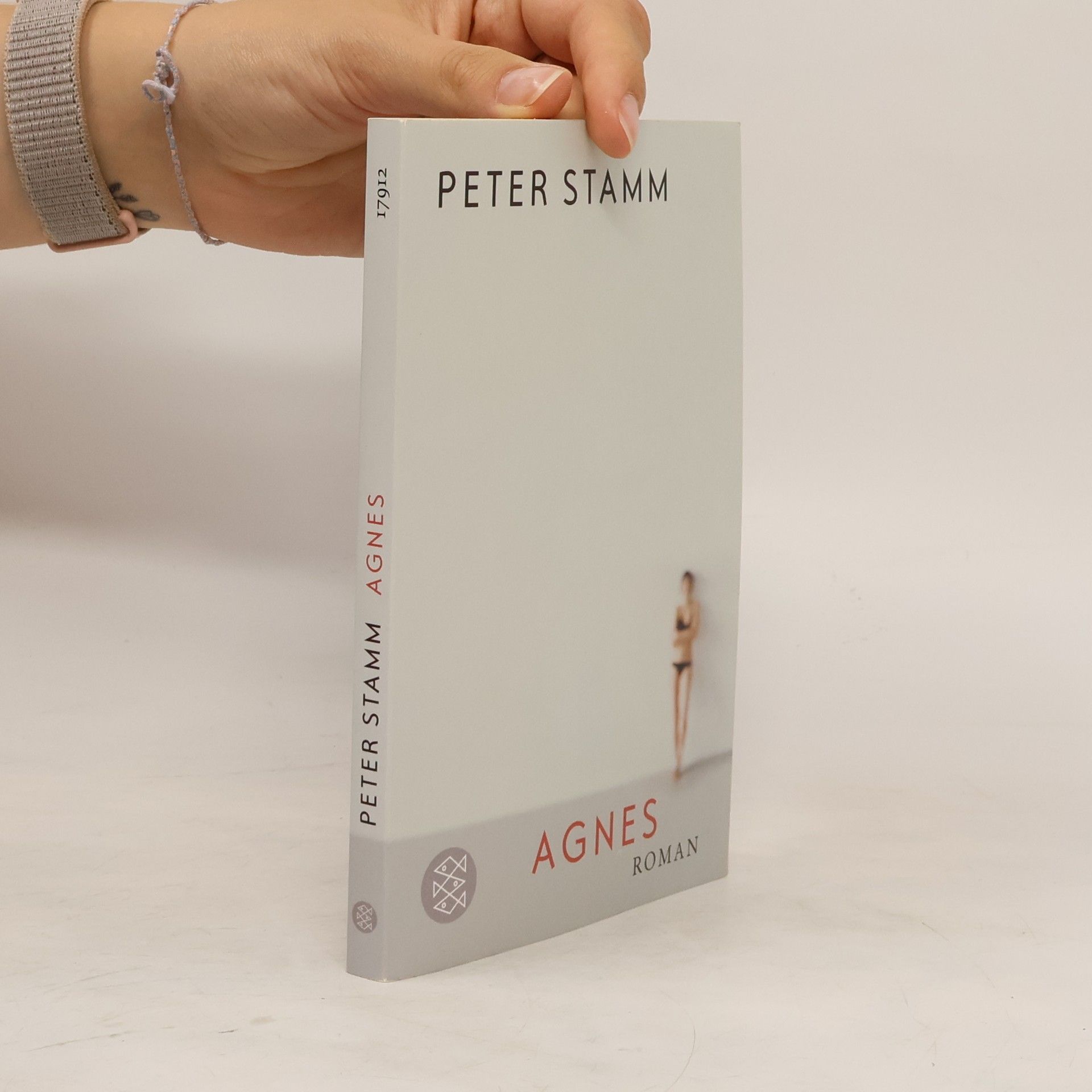 Peter Stamm Agnes