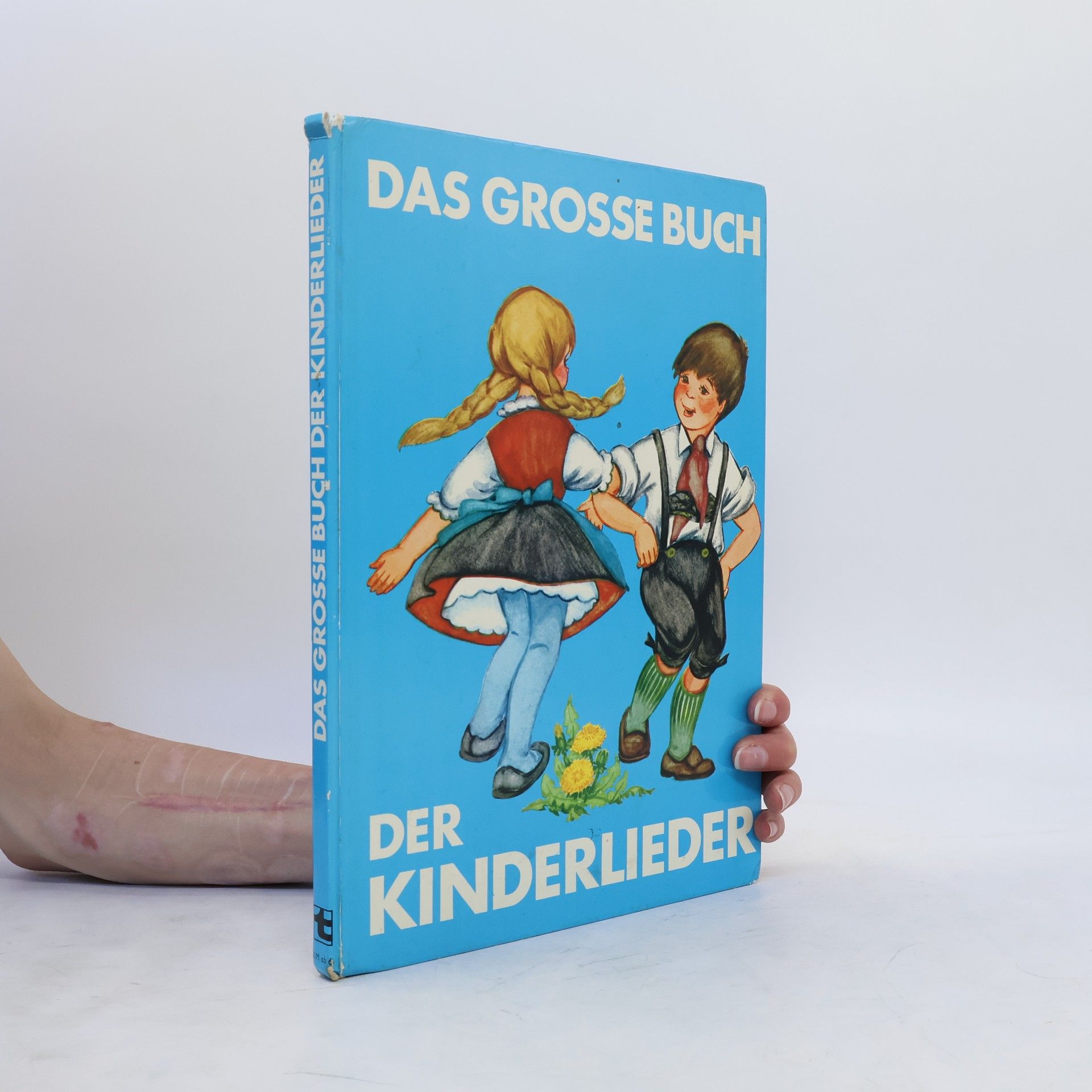 Collective Das grosse Buch der Kinderlieder