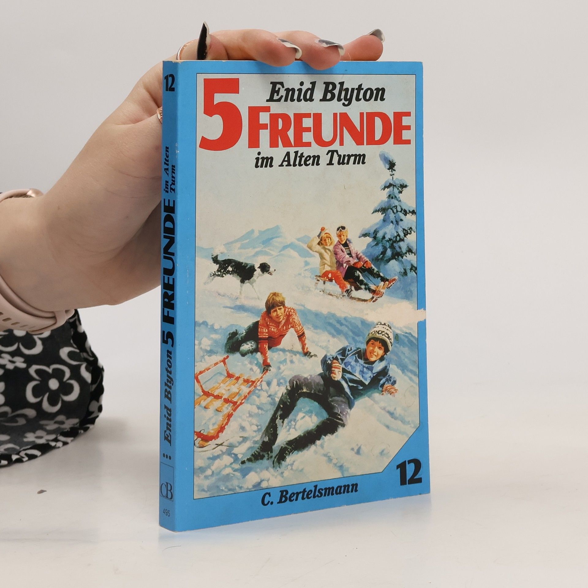 Enid Blyton 5 Freunde im alten Turm