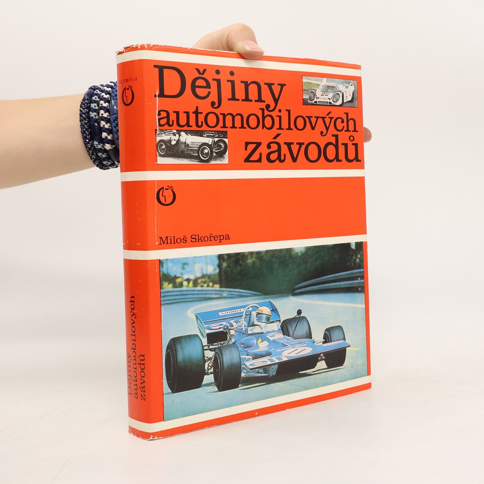 Miloš Skořepa Dějiny automobilových závodů
