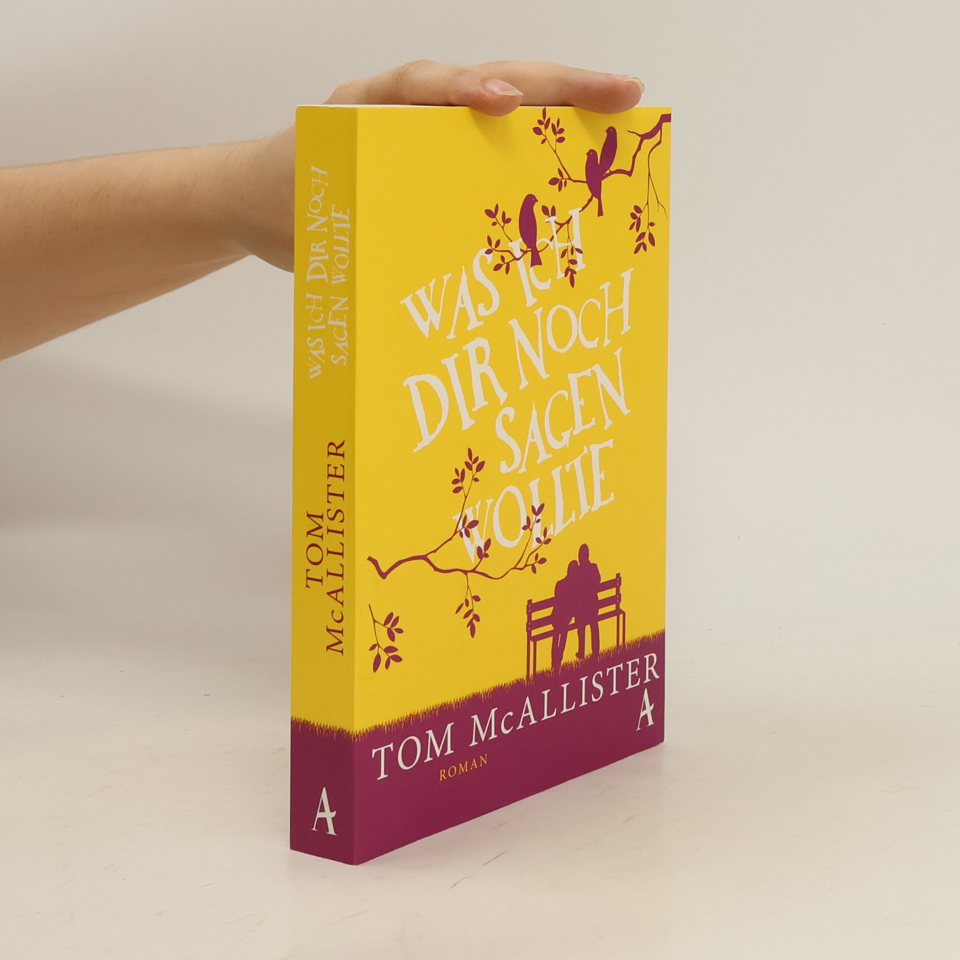 Tom McAllister Was ich dir noch sagen wollte