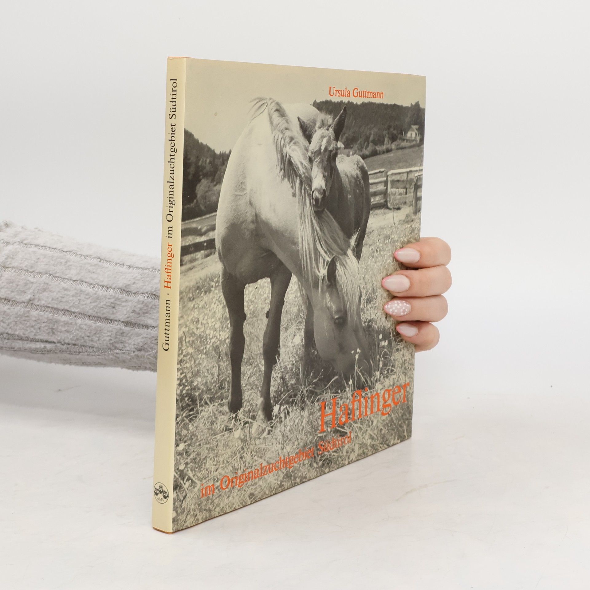 Ursula Guttmann Haflinger im Originalzuchtgebiet Südtirol