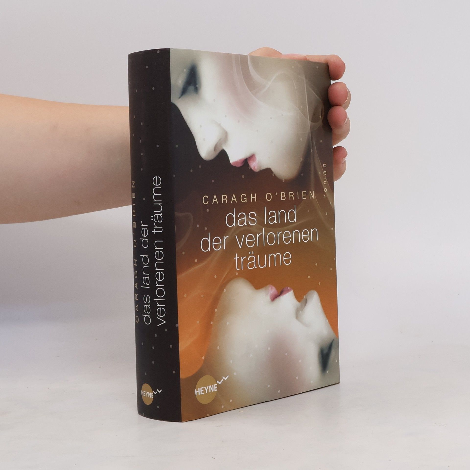 Caragh O. Brien Das Land der verlorenen Träume