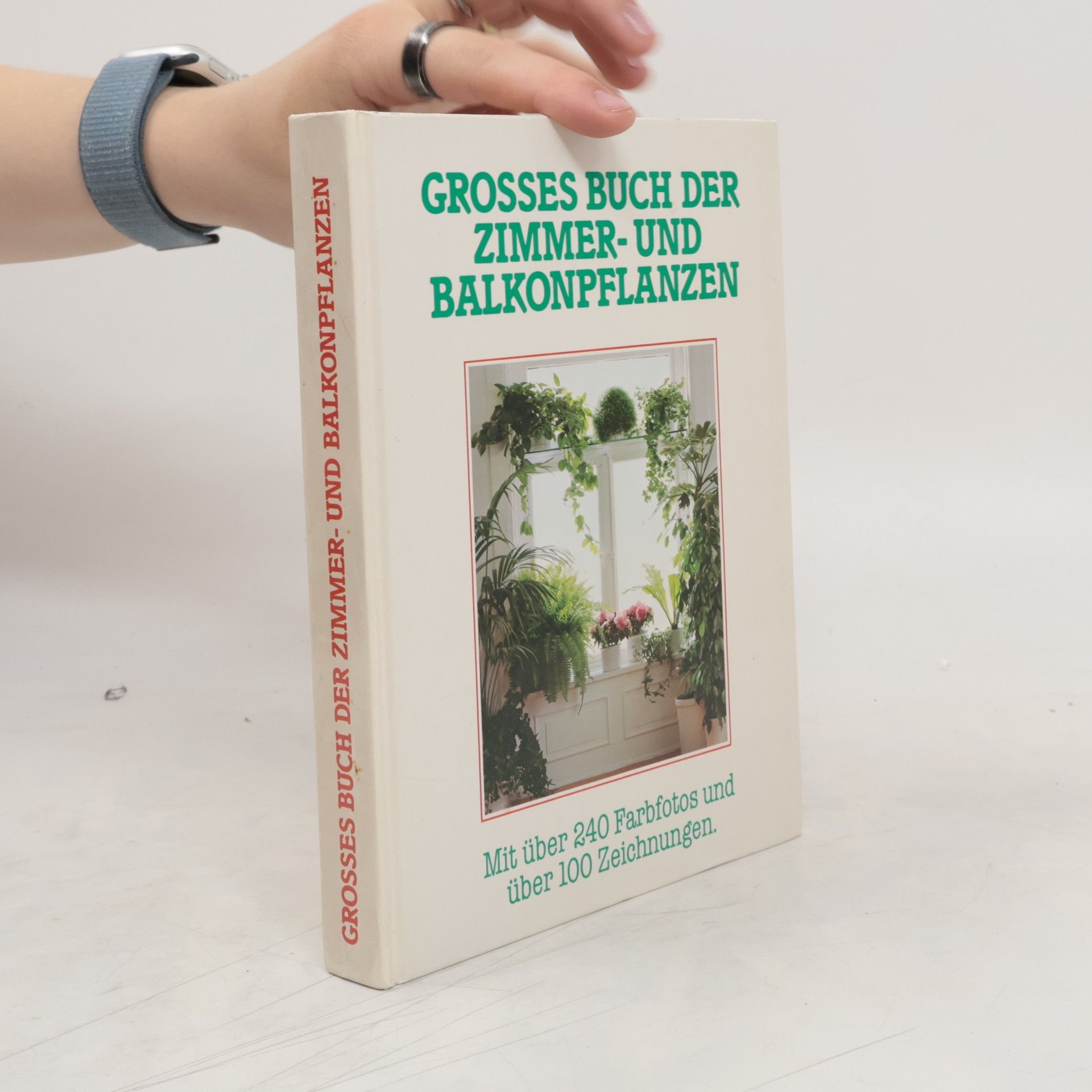 Jürgen Saupe Grossem Buch der Zimmer-und Balkonpflanzen