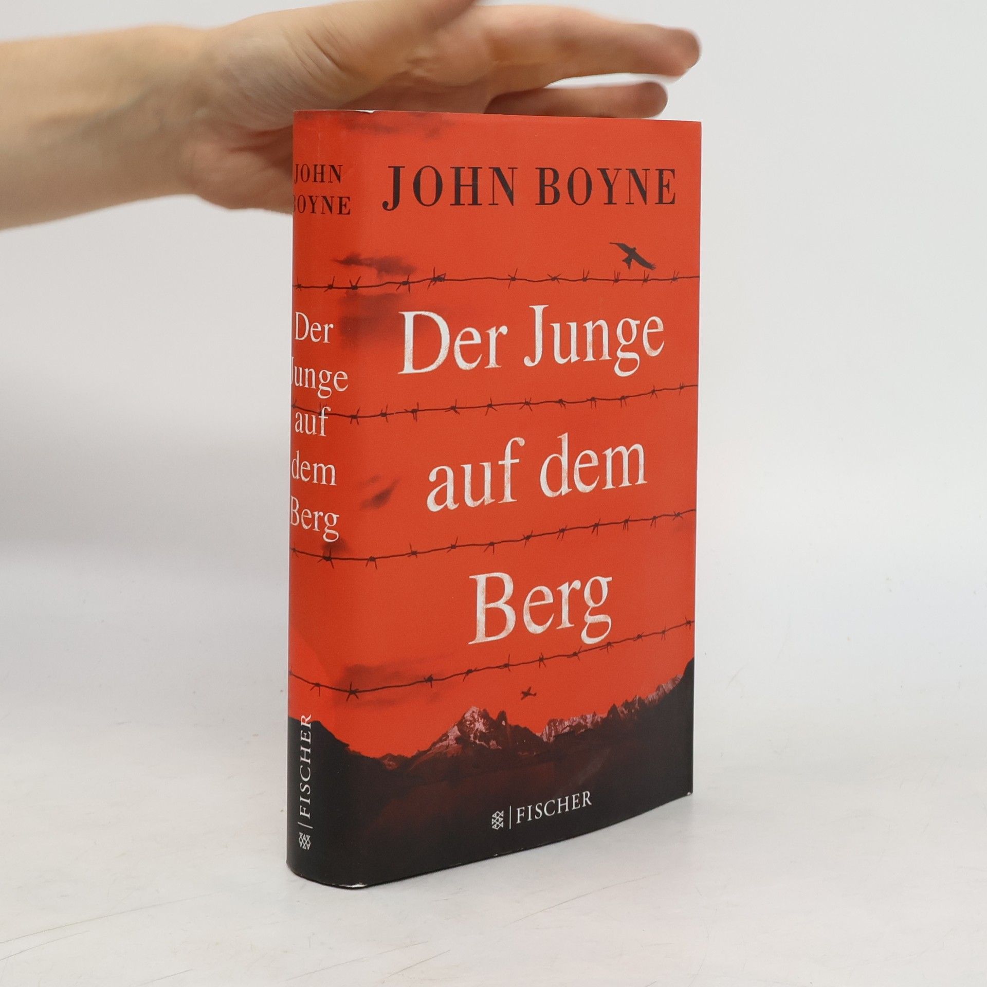 John Boyne Der Junge auf dem Berg