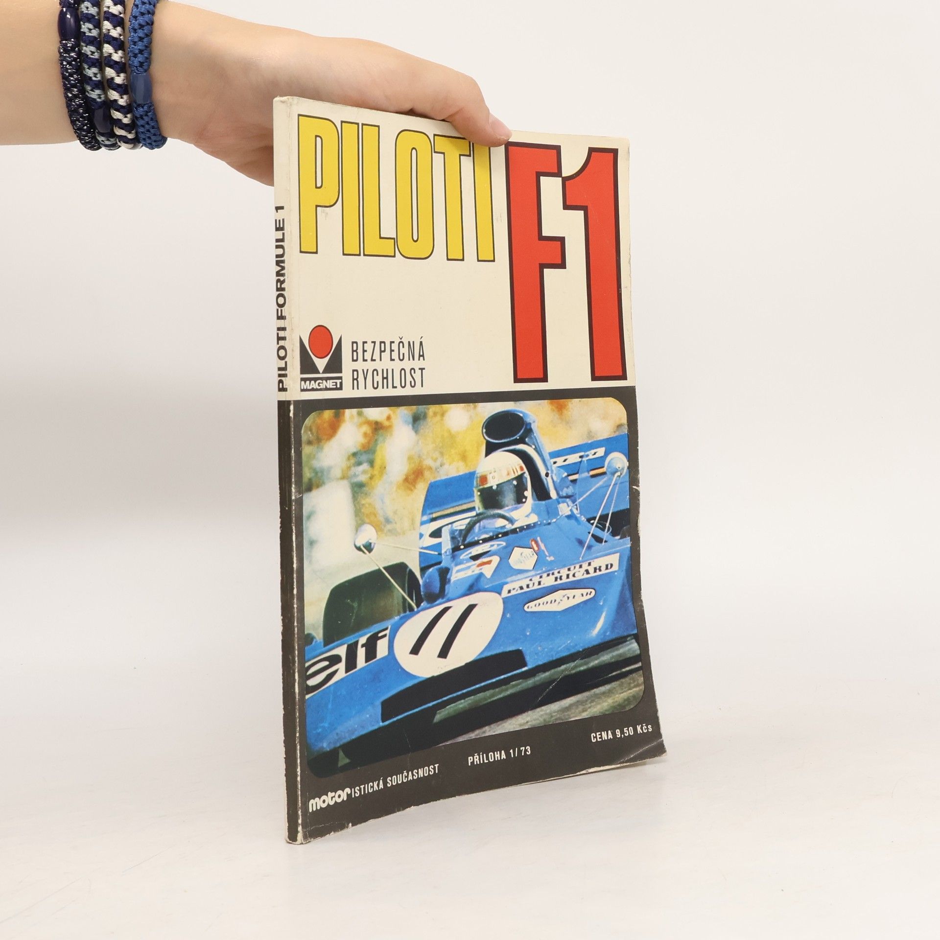 Collectif d'auteurs Piloti F1