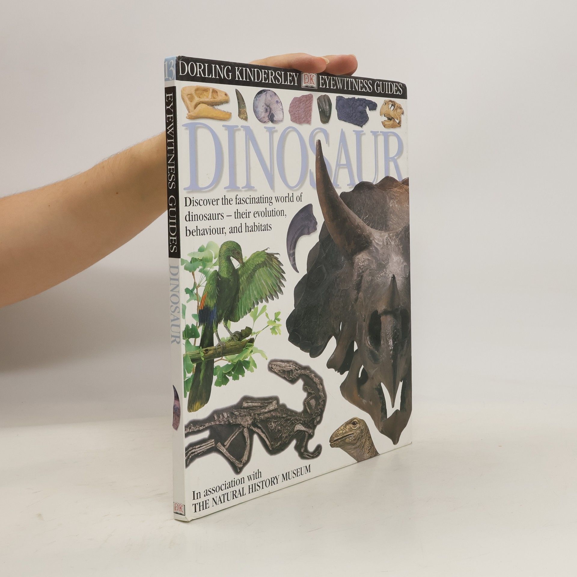 David B. Norman Dinosaur