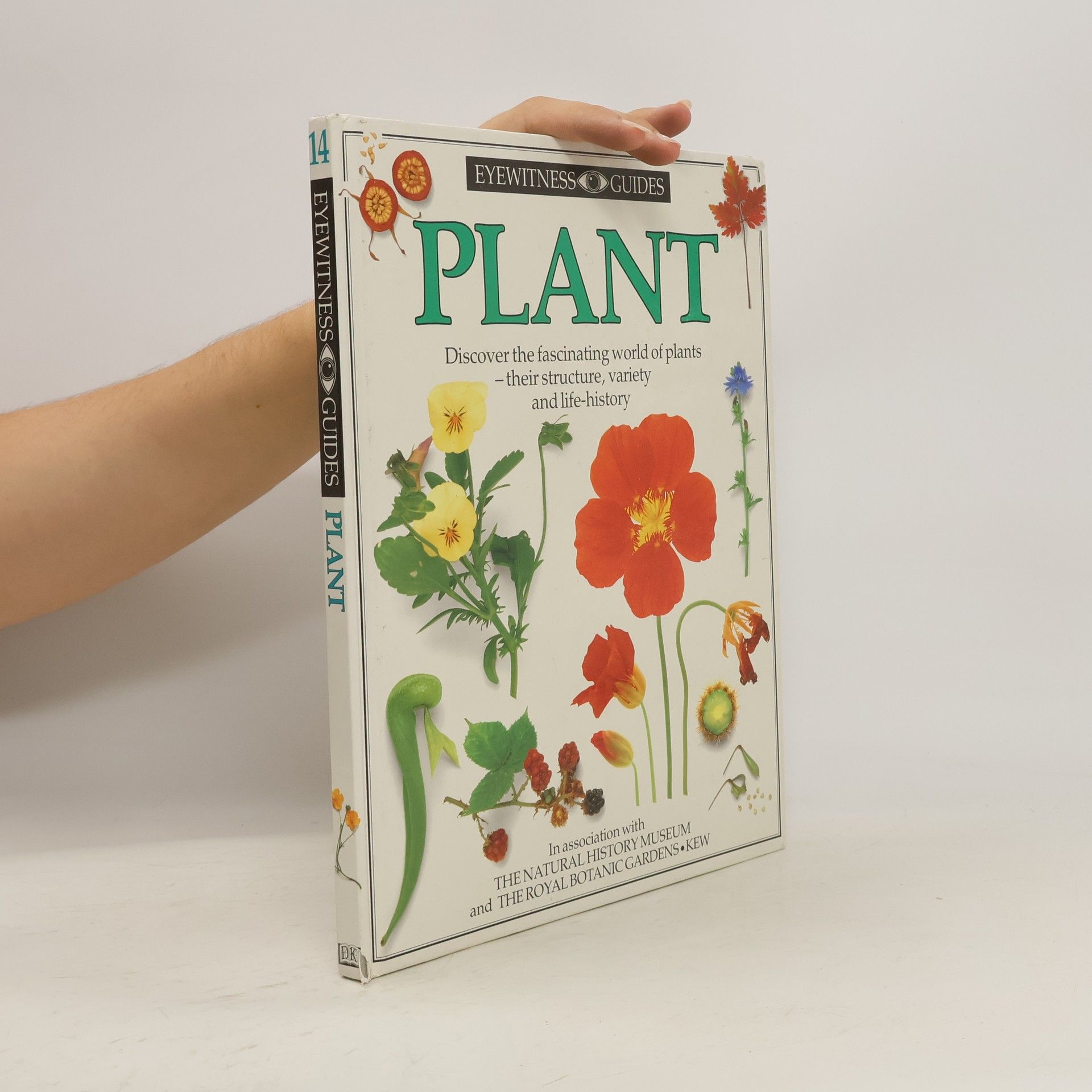 David Burnie Plant