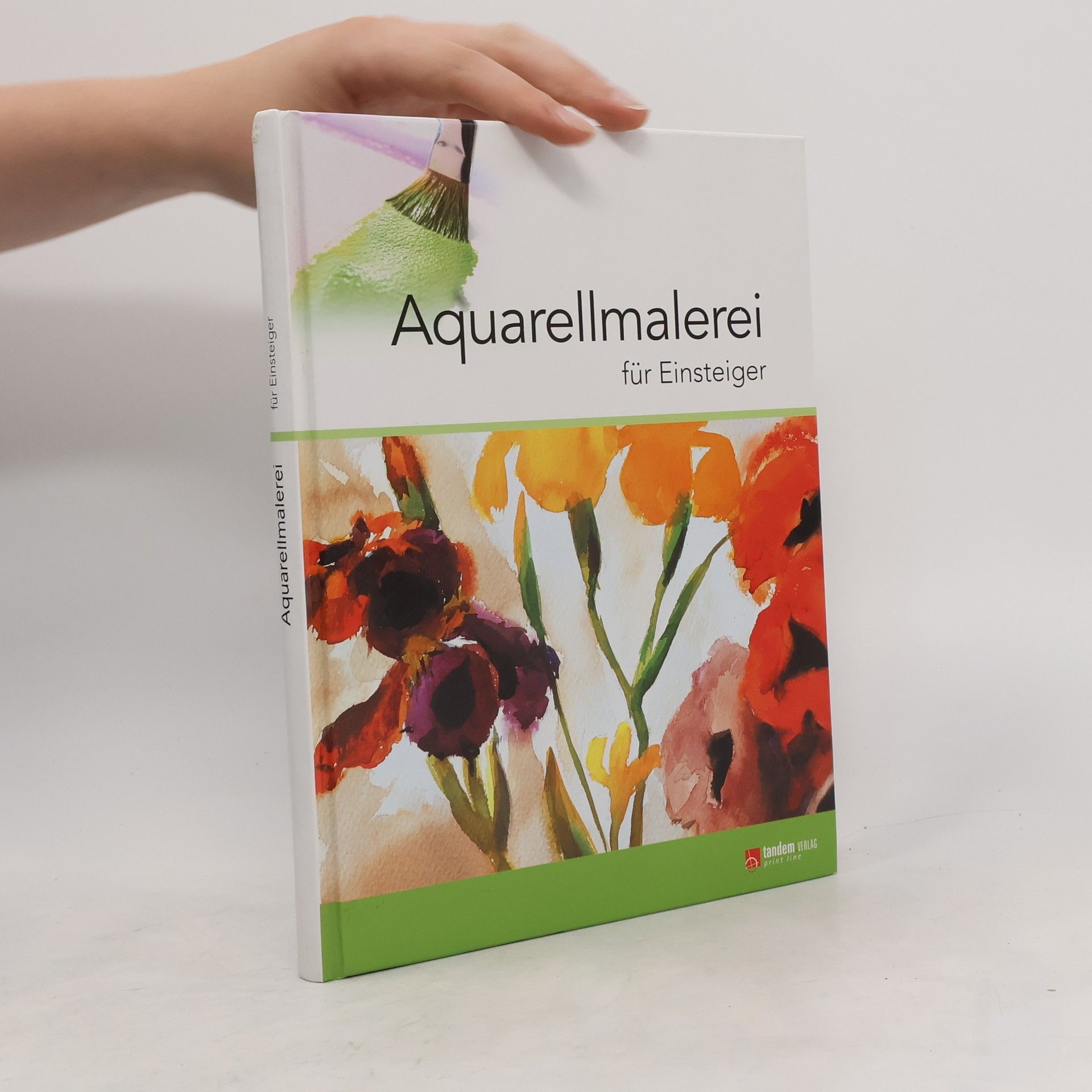 Autorenkollektiv Aquarellmalerei für Einsteiger