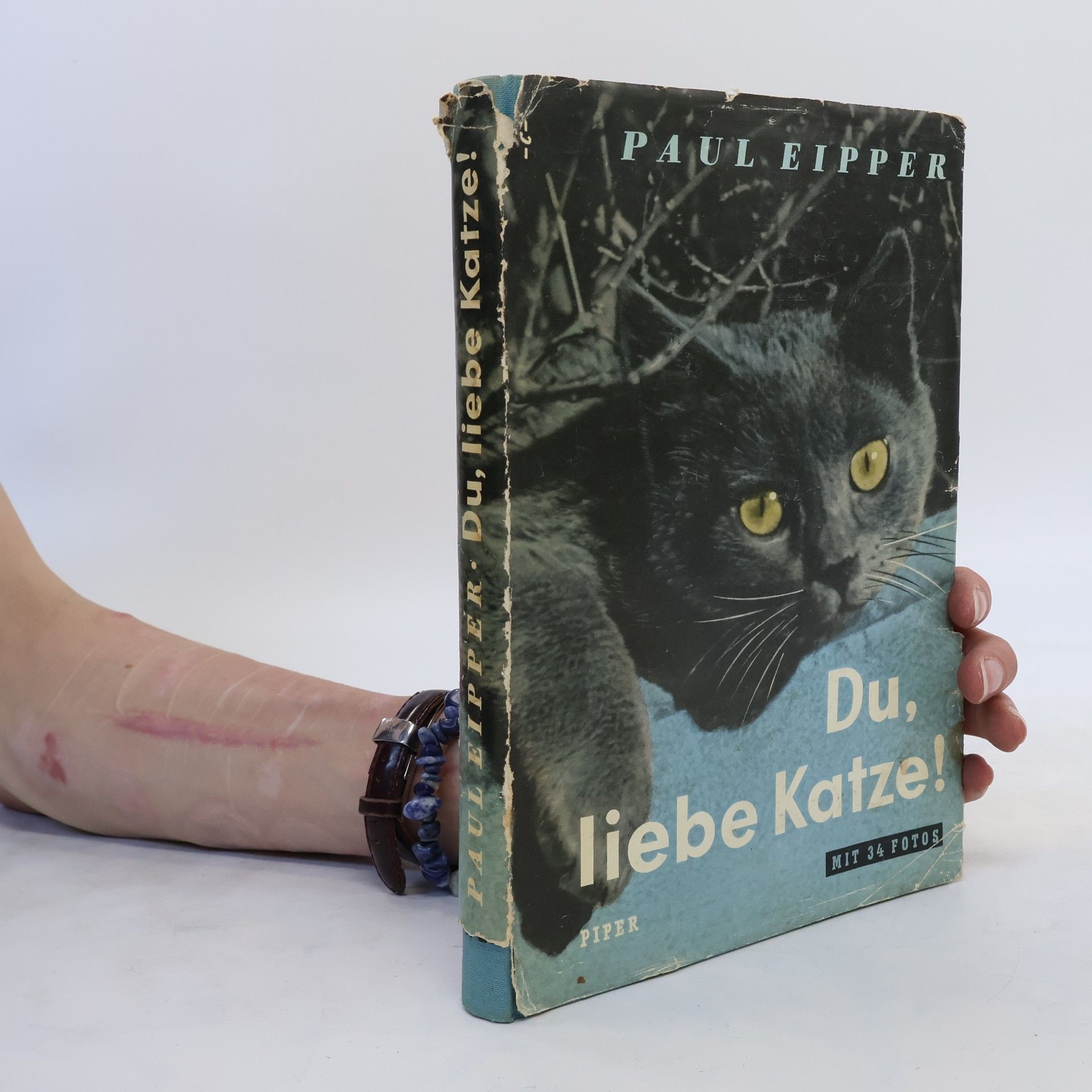 Paul Eipper Du liebe Katze!