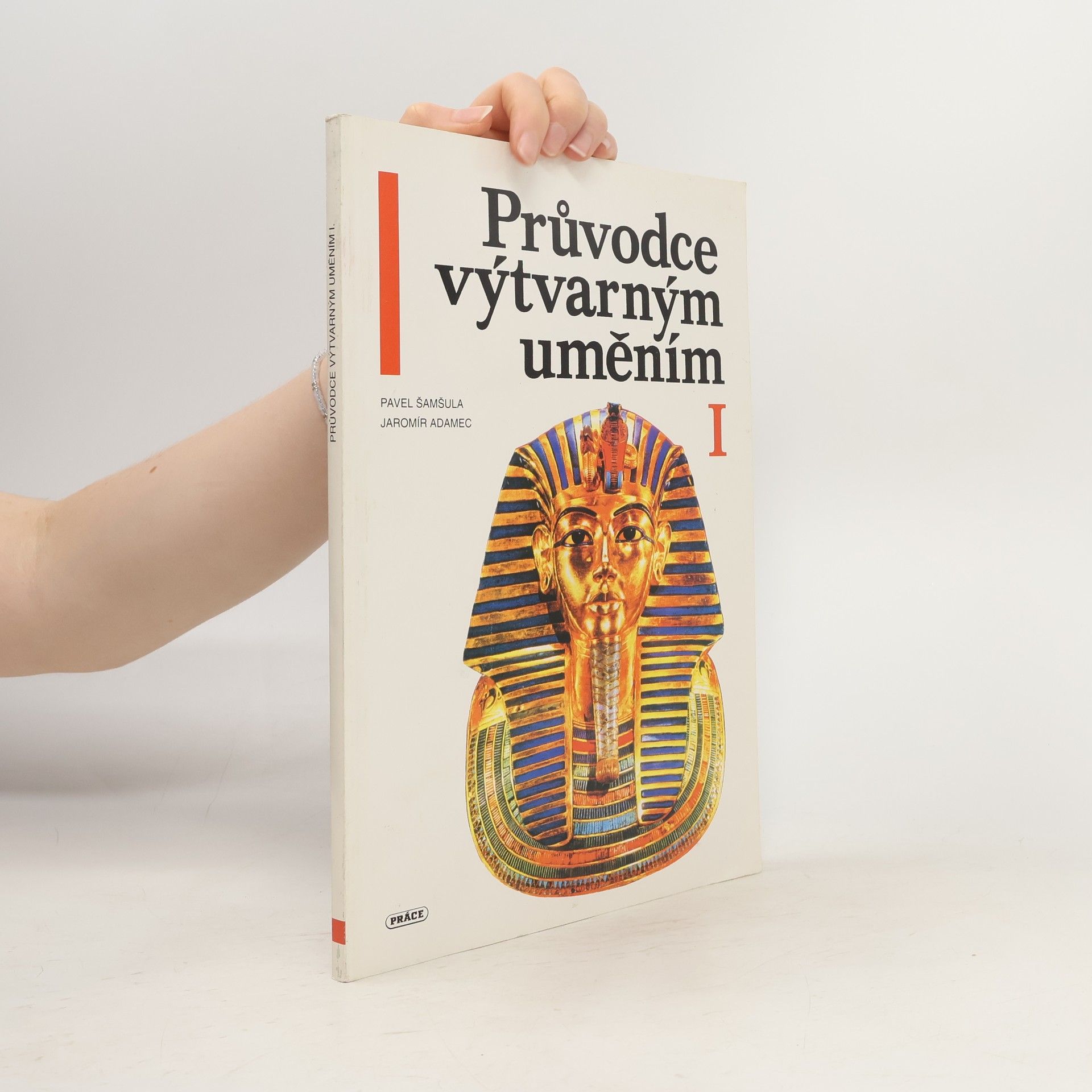 Pavel Šamšula Průvodce výtvarným uměním I