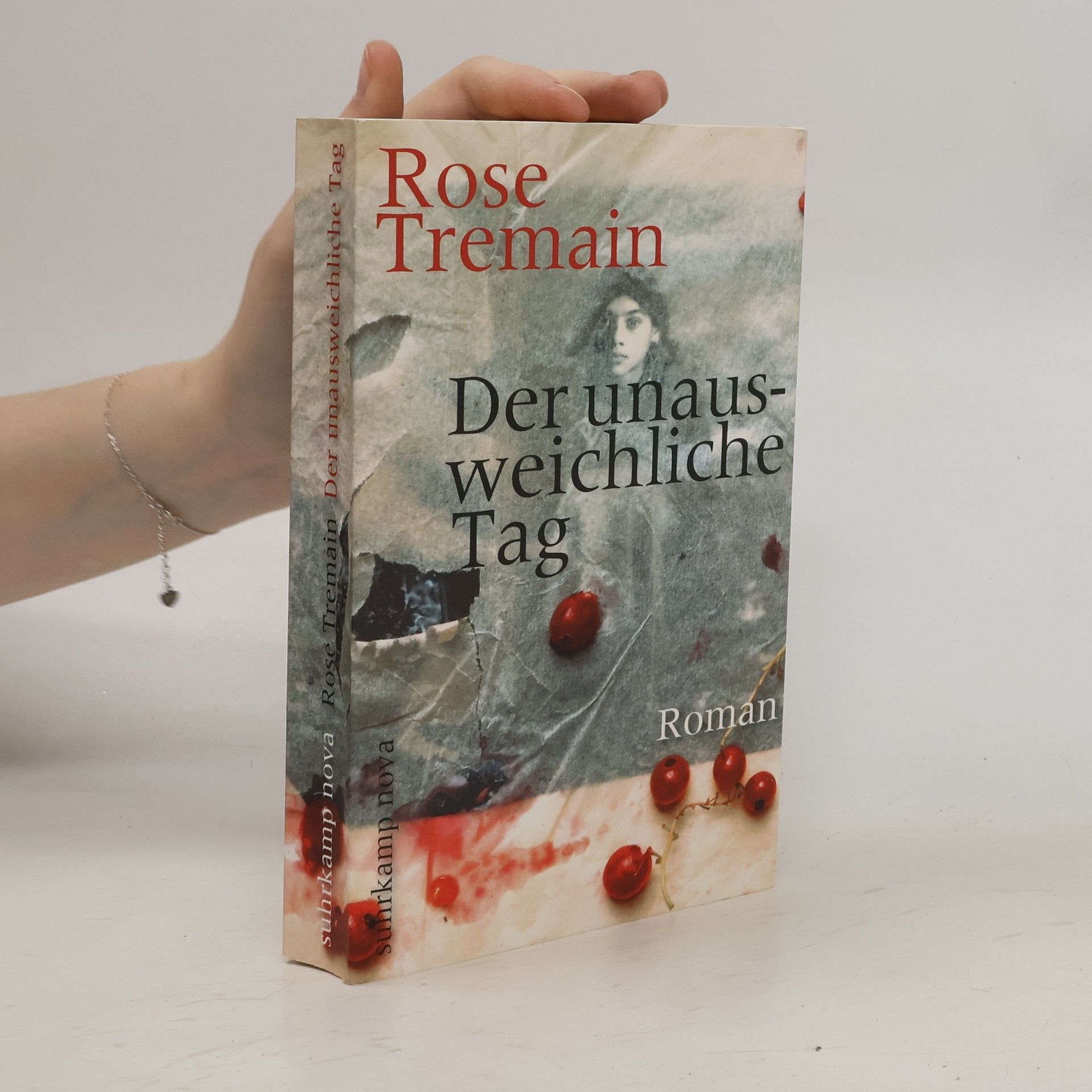 Rose Tremain Der unausweichliche Tag