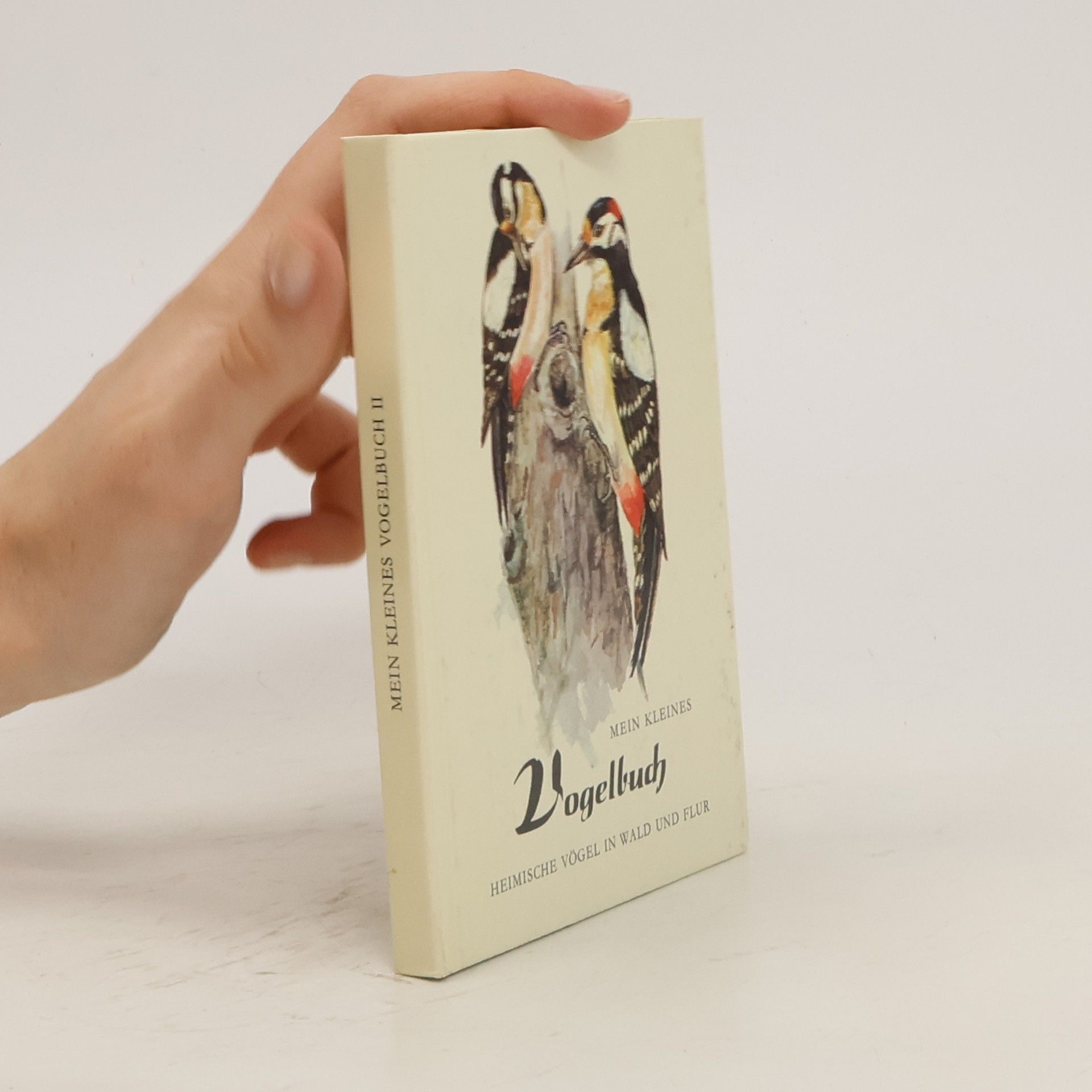 Irmgard Engelhardt Mein kleines Vogelbuch II