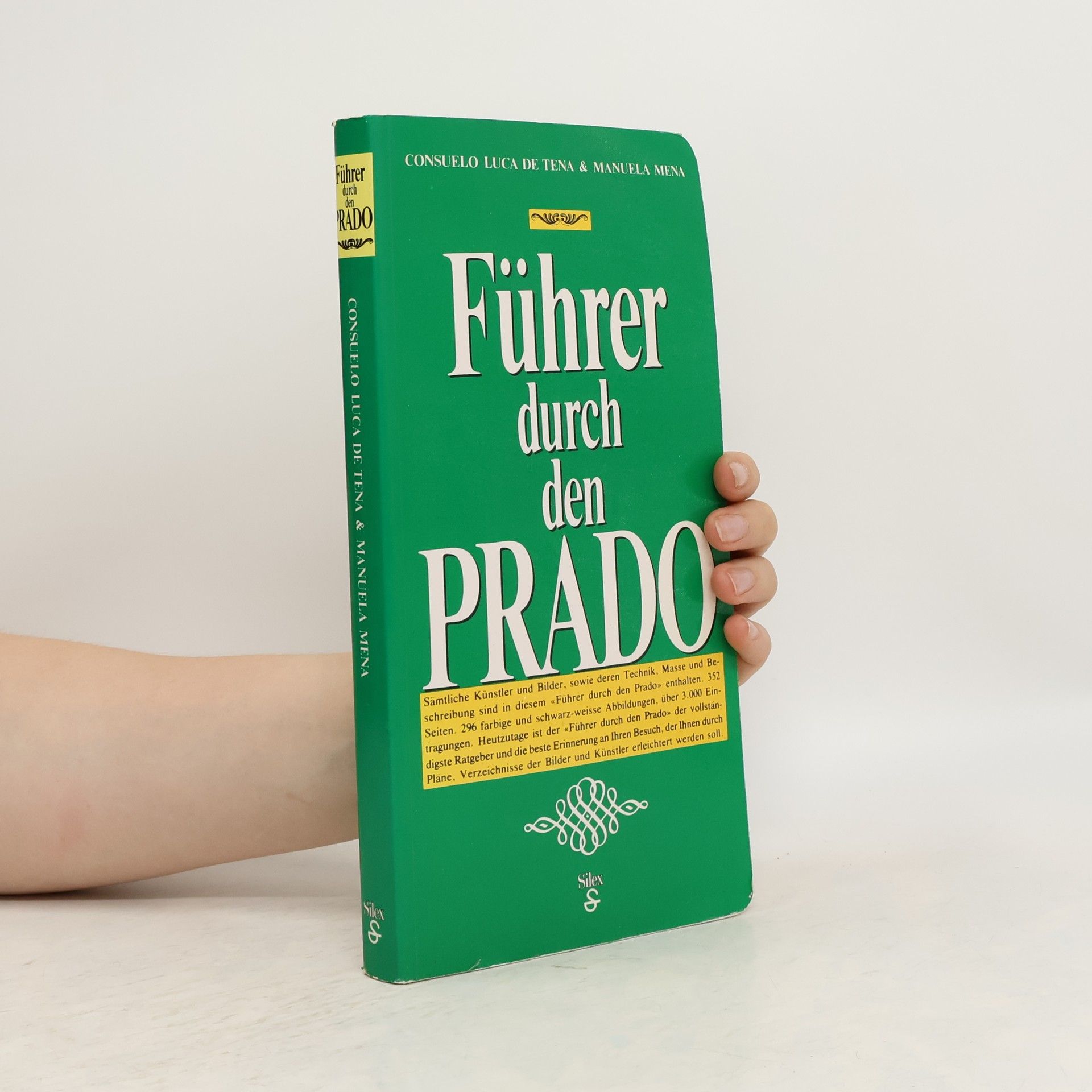 Consuelo Luca de Tena Führer durch den Prado
