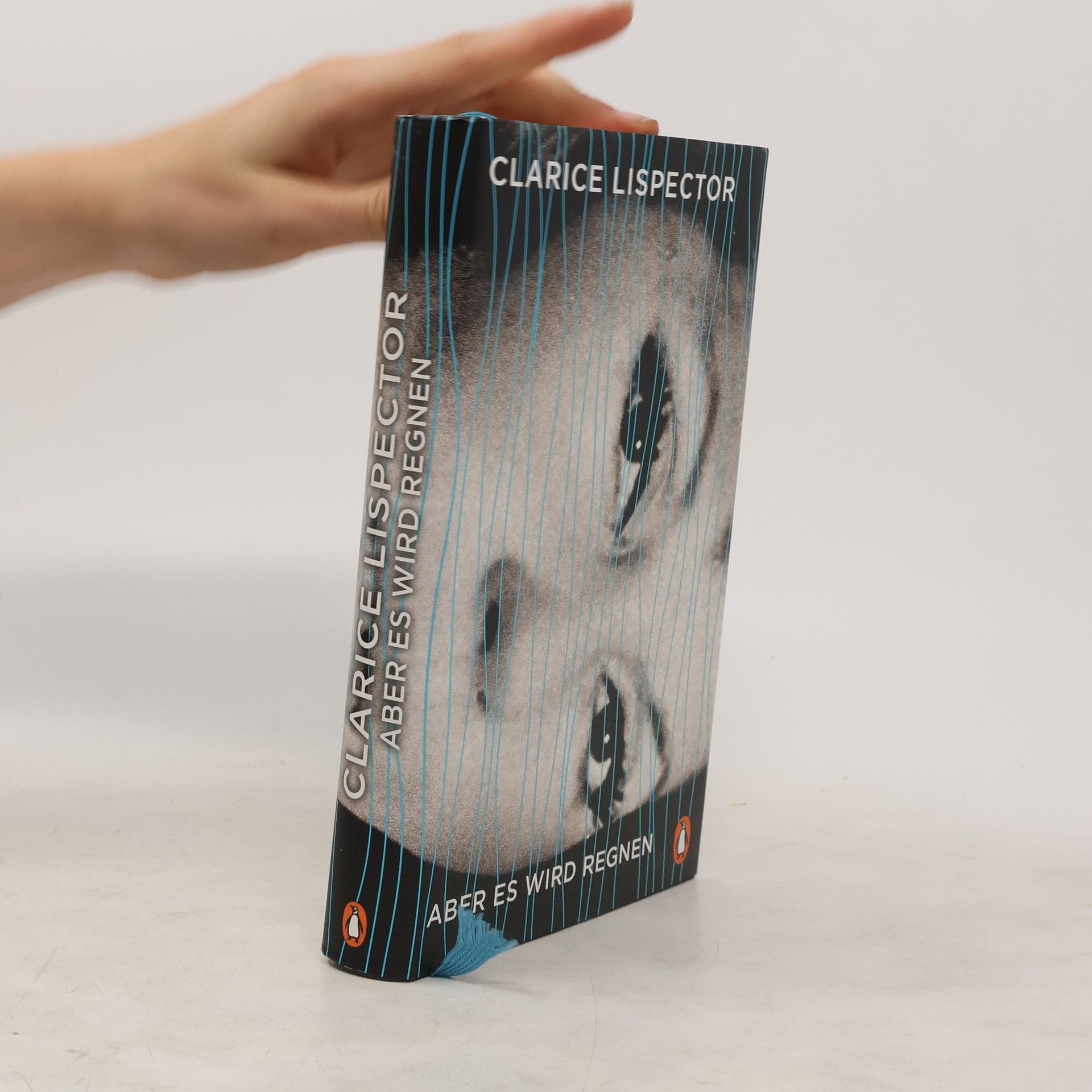 Clarice Lispector Aber es wird regnen