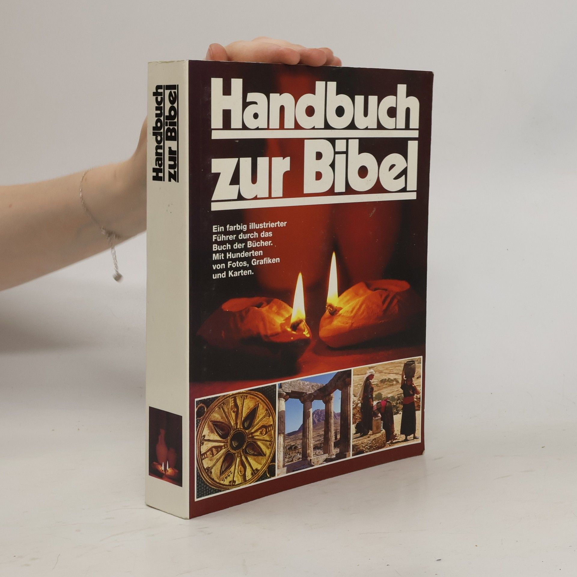 David Alexander Handbuch zur Bibel