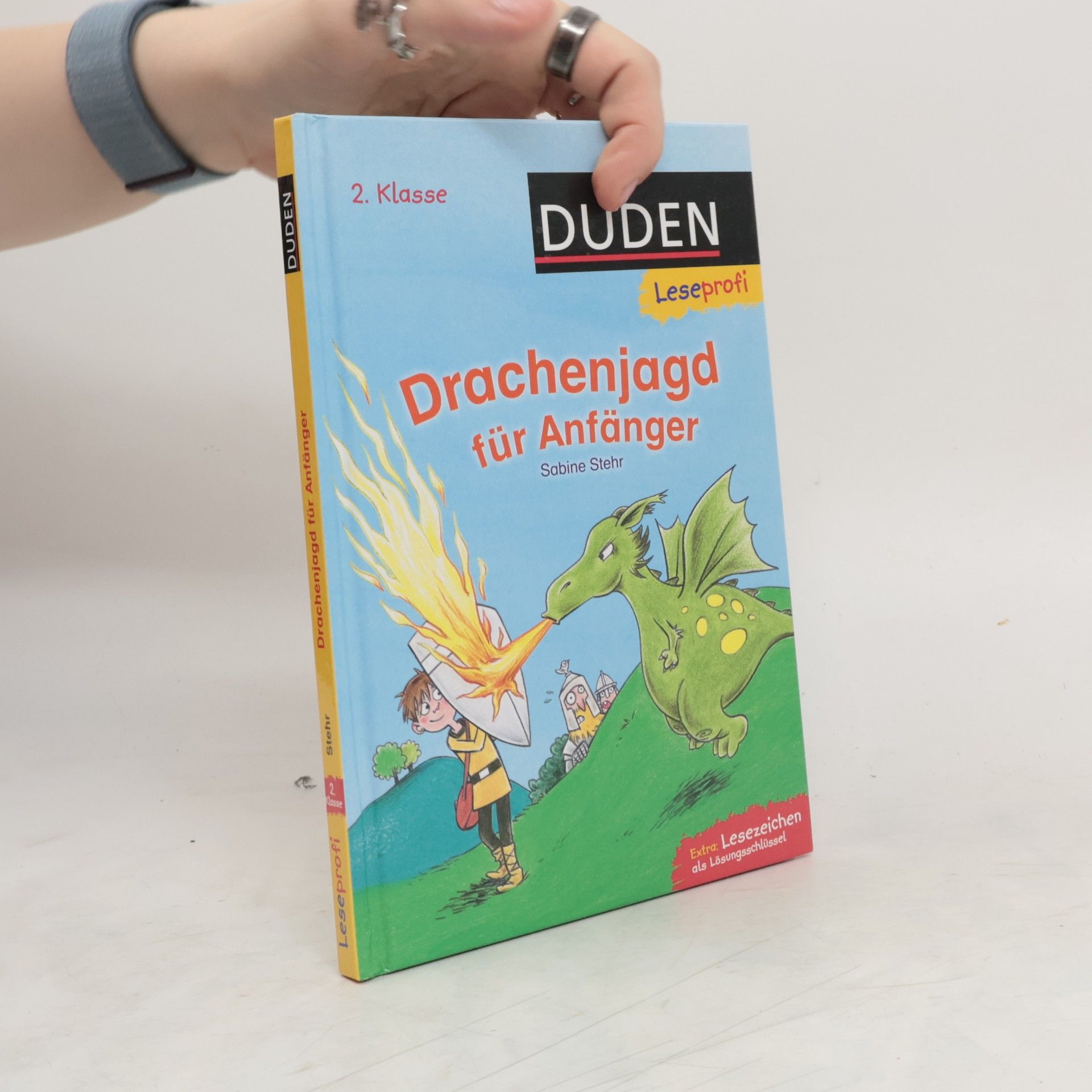 Sabine Stehr Drachenjagd für Anfänger