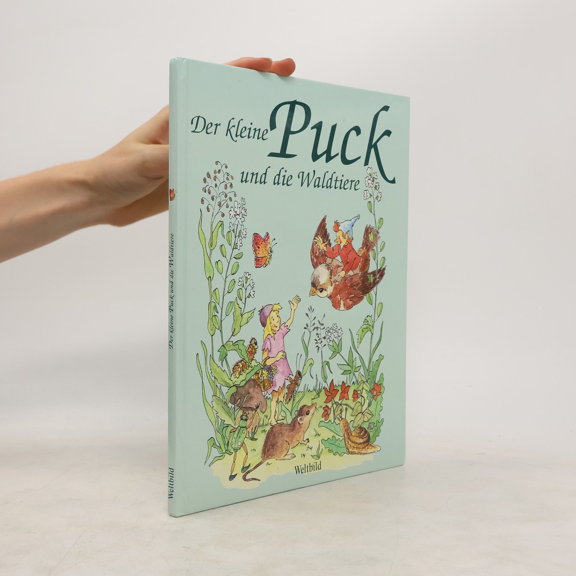 Sascha Wuillemet Der kleine Puck und die Waldtiere