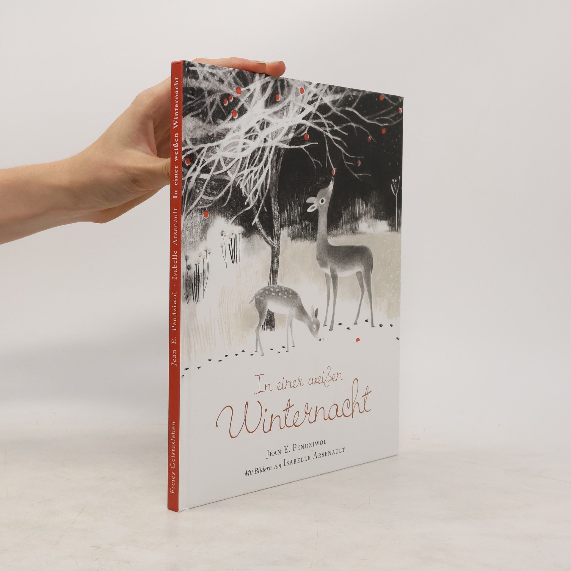 Jean Pendziwol In einer weißen Winternacht