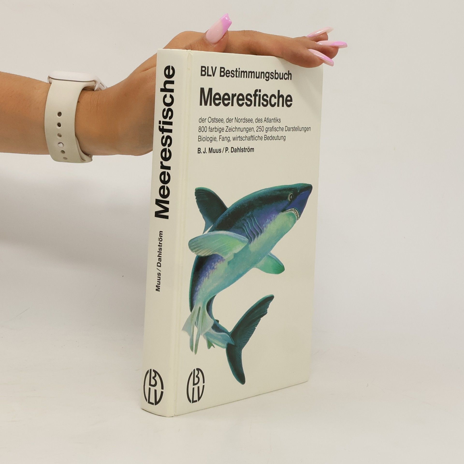 Bent J. Muus Meeresfische der Ostsee, der Nordsee, des Atlantiks