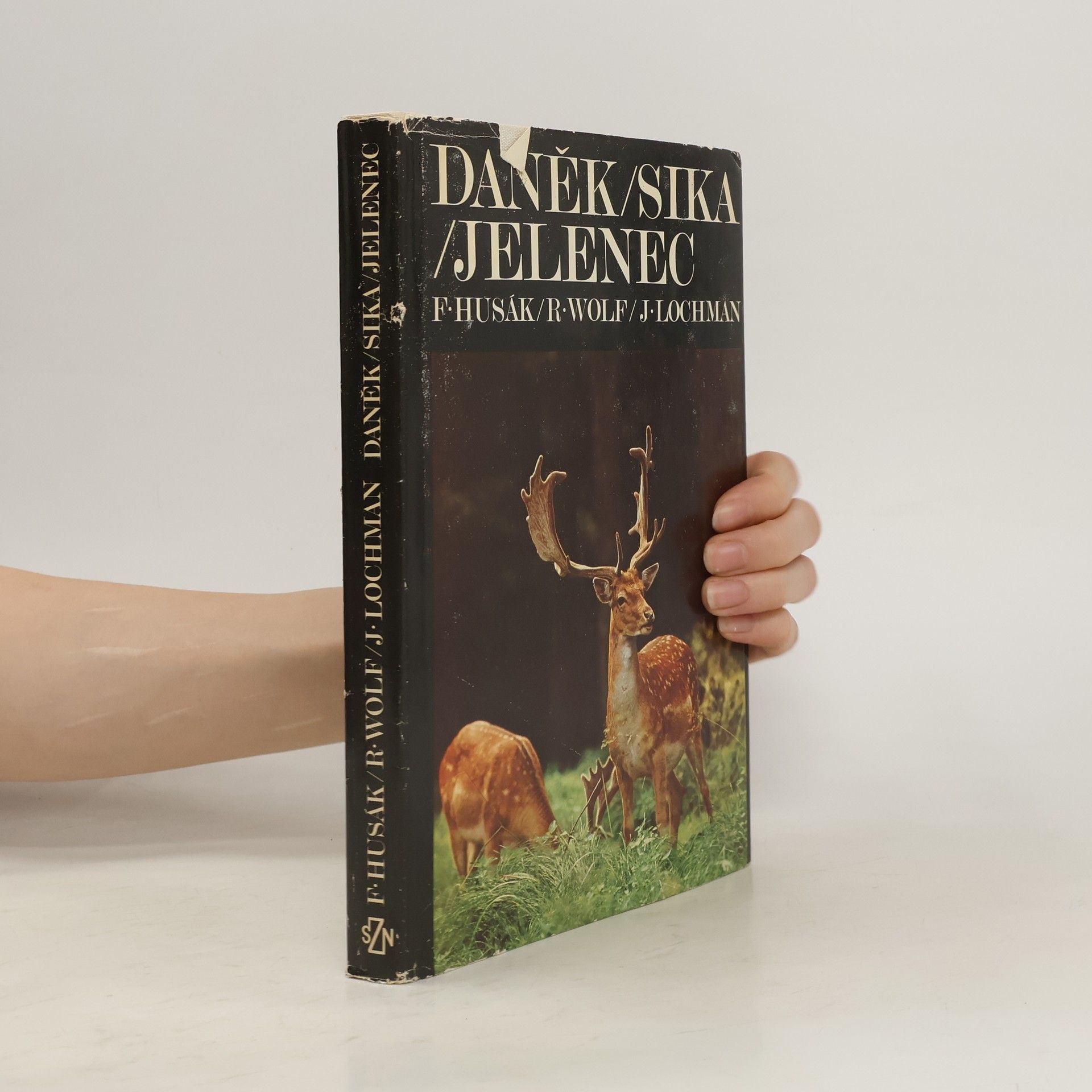 František Husák Daněk - sika - jelenec