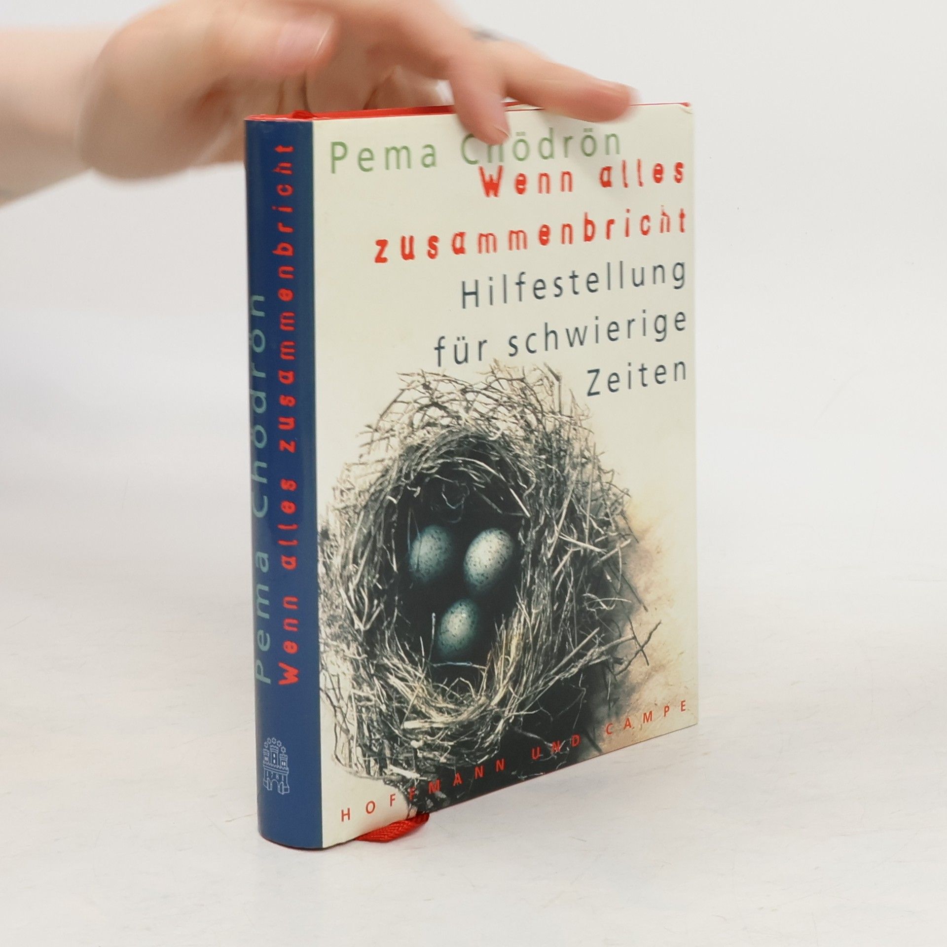 Pema Chödrön Wenn alles zusammenbricht