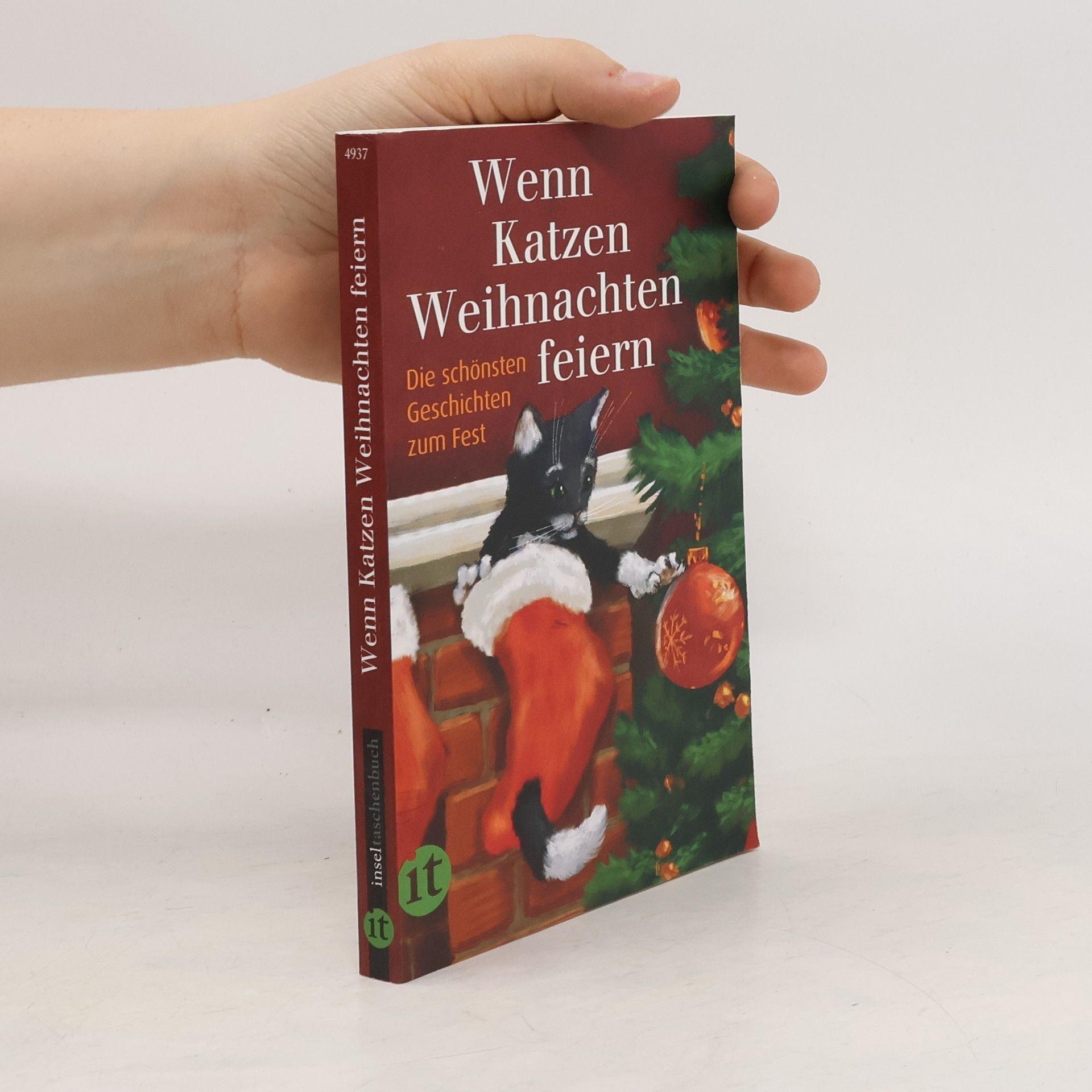 Gesine Dammel Wenn Katzen Weihnachten feiern