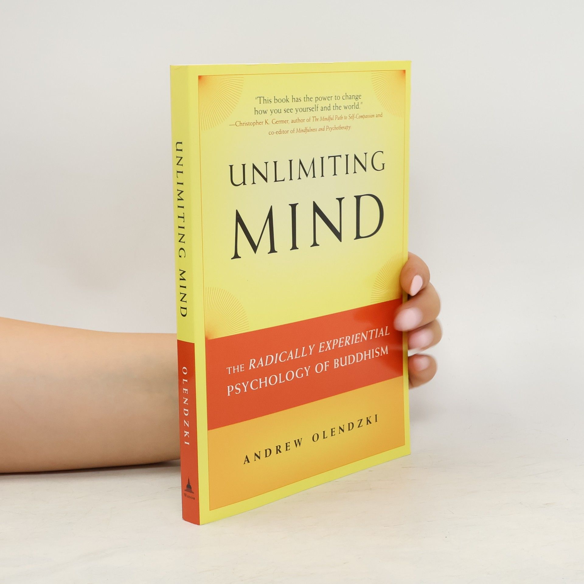 Andrew Olendzki Unlimiting Mind