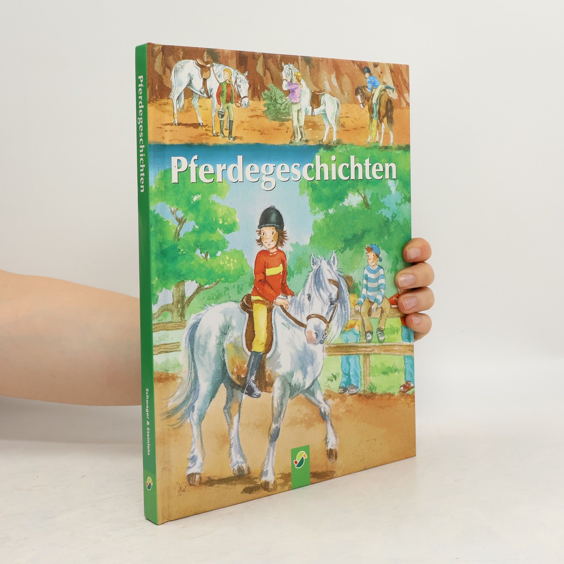 Autorenkollektiv Pferdegeschichten