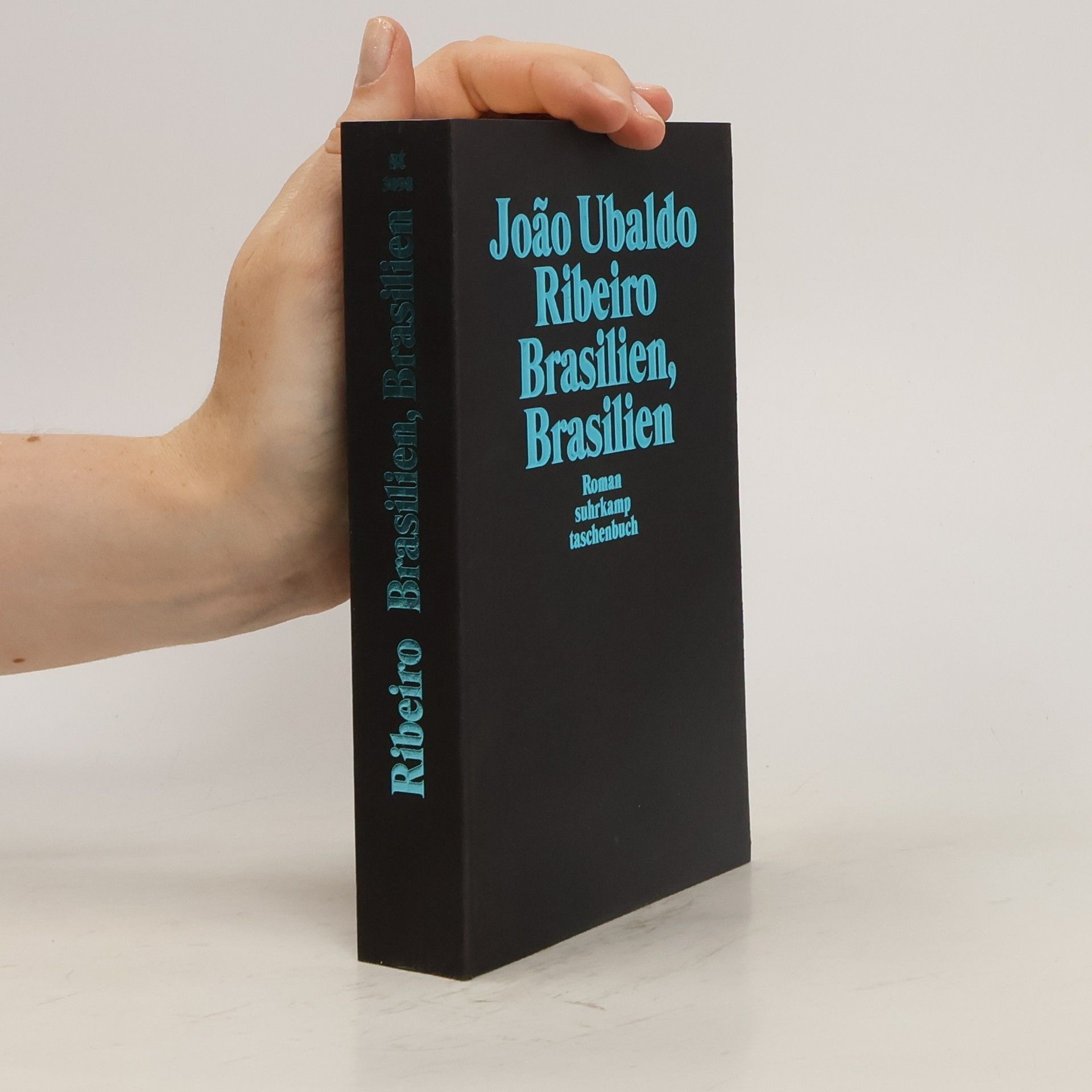 João Ubaldo Ribeiro Brasilien, Brasilien