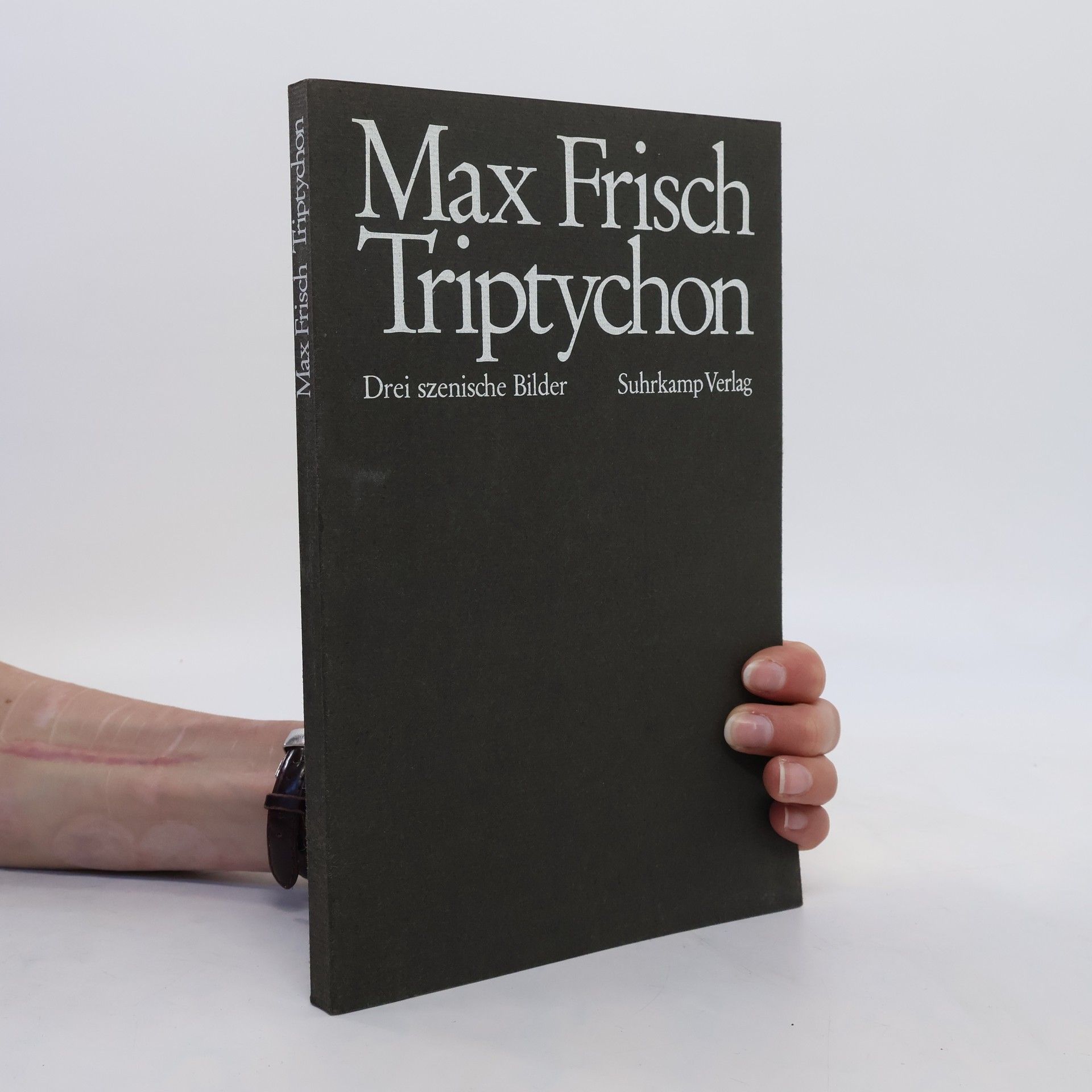 Max Frisch Triptychon