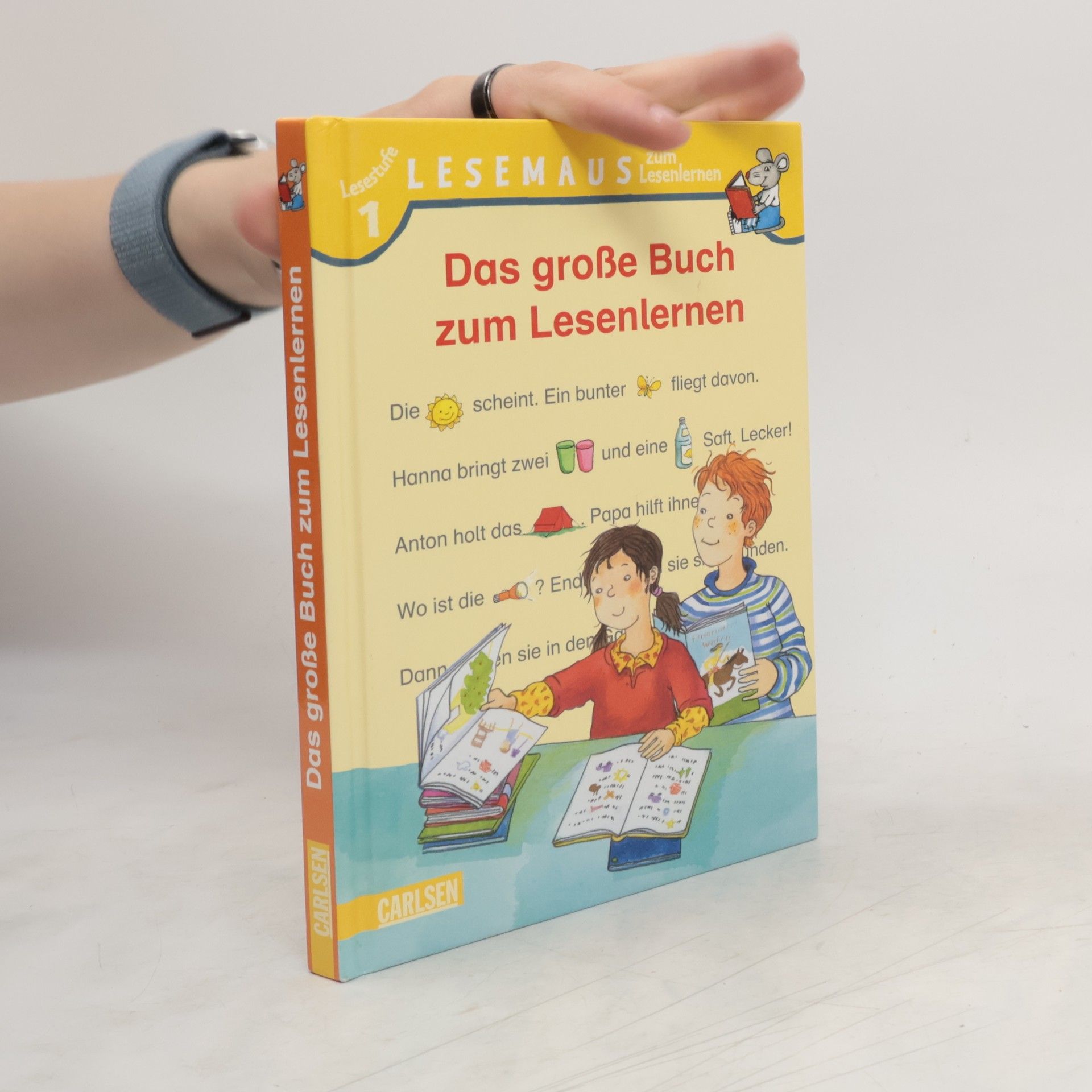 Autorenkollektiv Das große Buch zum Lesenlernen