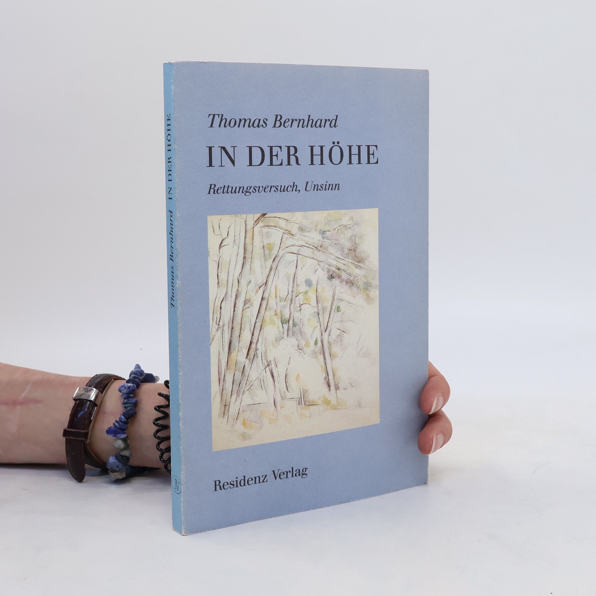 Thomas Bernhard In der Höhe : Rettungsversuch, Unsinn