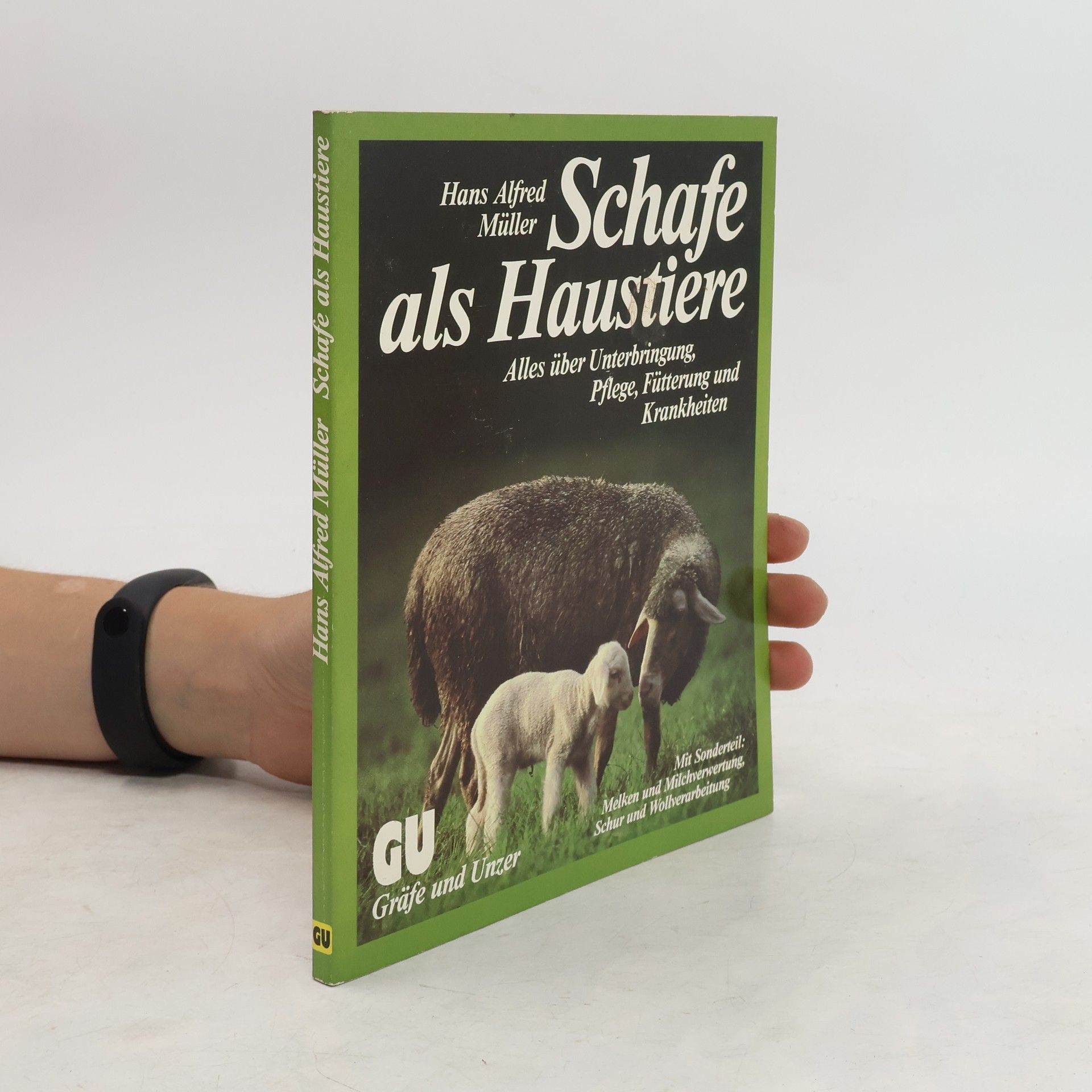 Hans Alfred Müller Schafe als Haustiere