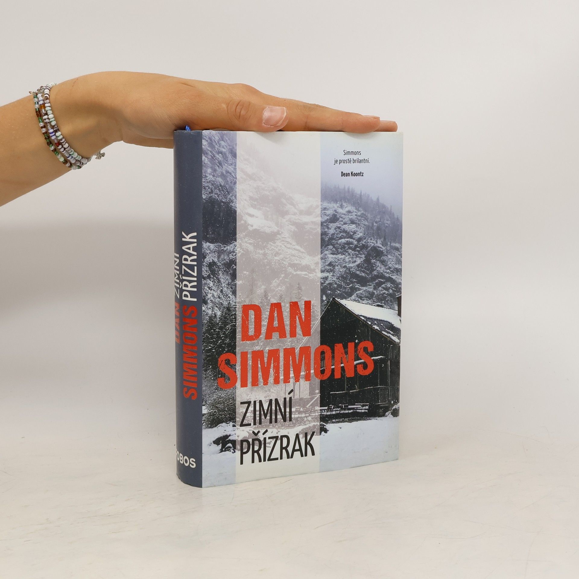 Dan Simmons Zimní přízrak