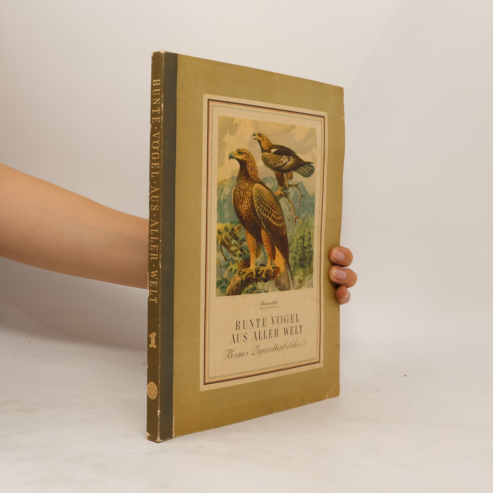 Autorenkollektiv Bunte Vögel aus aller Welt