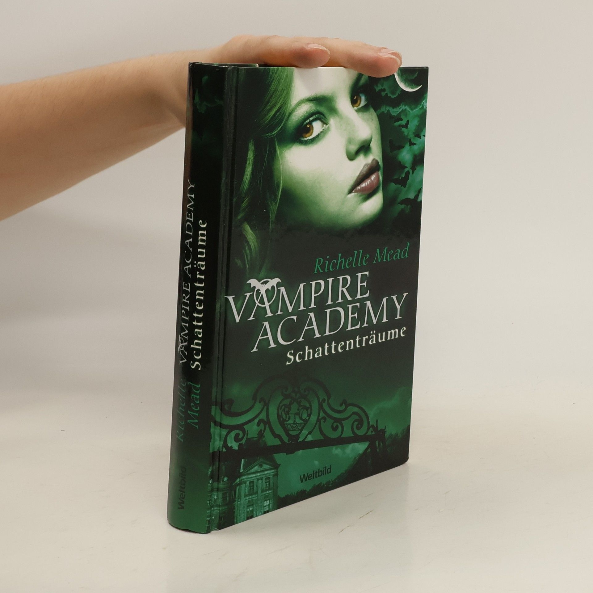 Richelle Mead Vampire Academy. Schattenträume