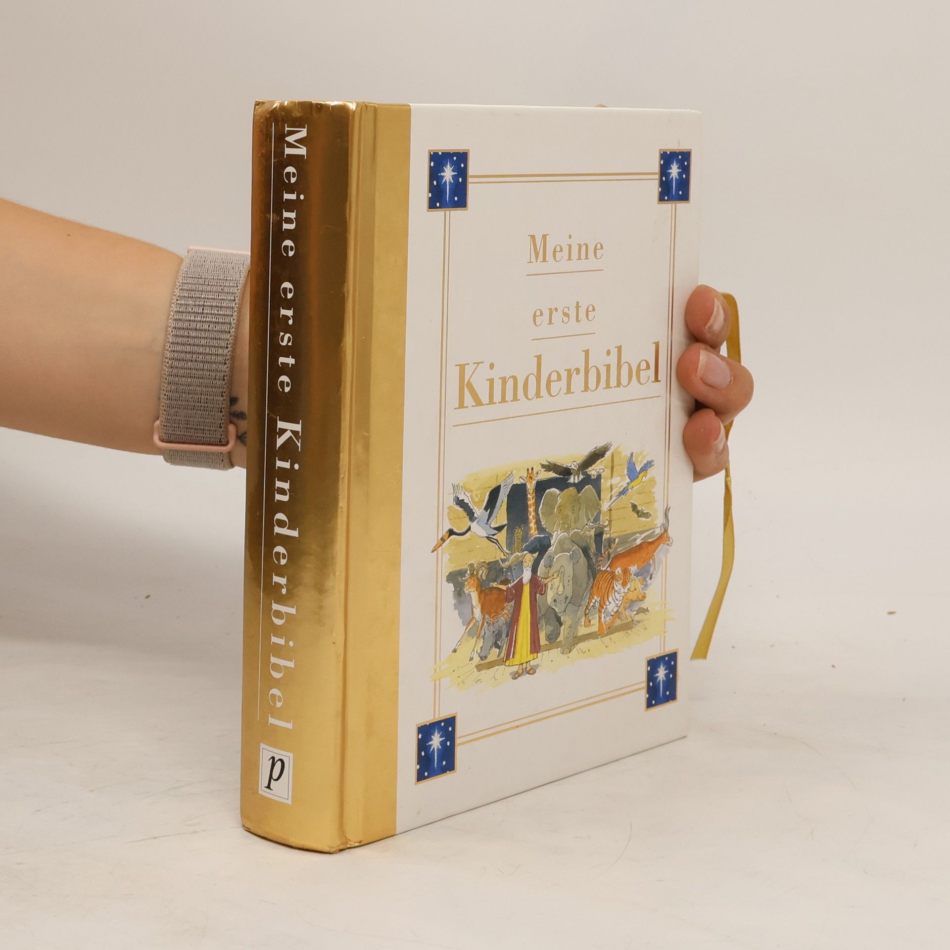 Autorenkollektiv Meine erste Kinderbibel