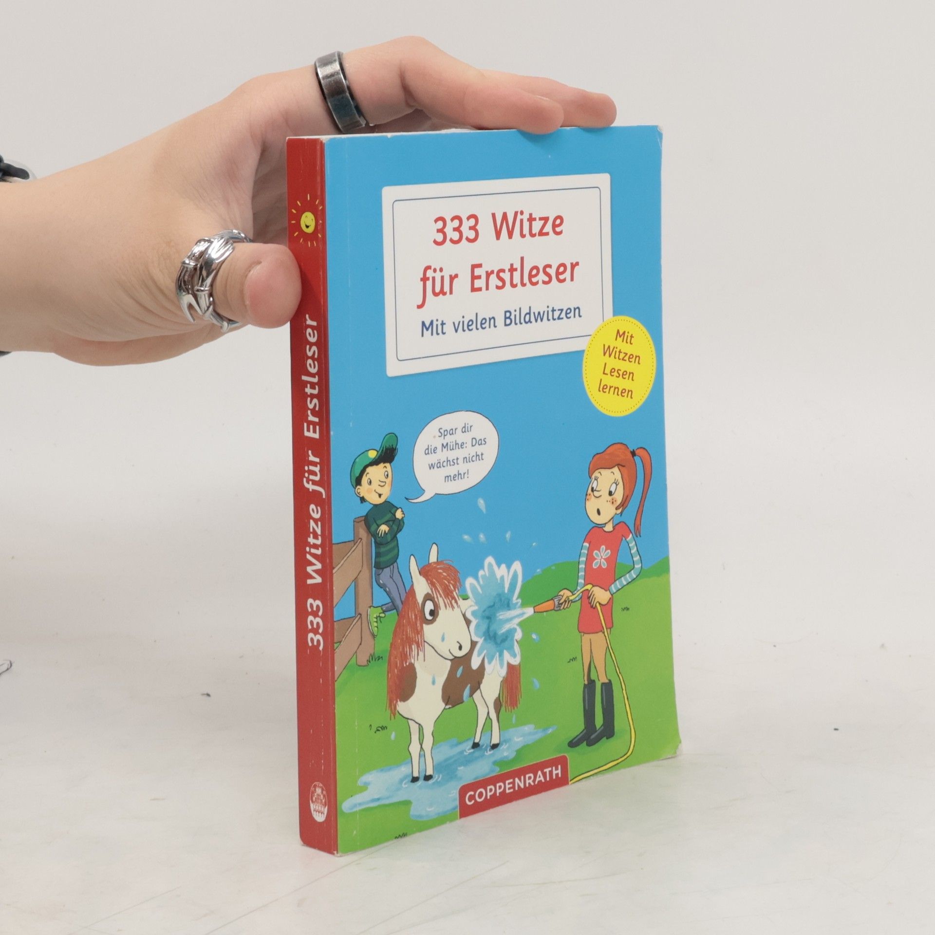 Linda Hermann 333 Witze fūr Erstleser