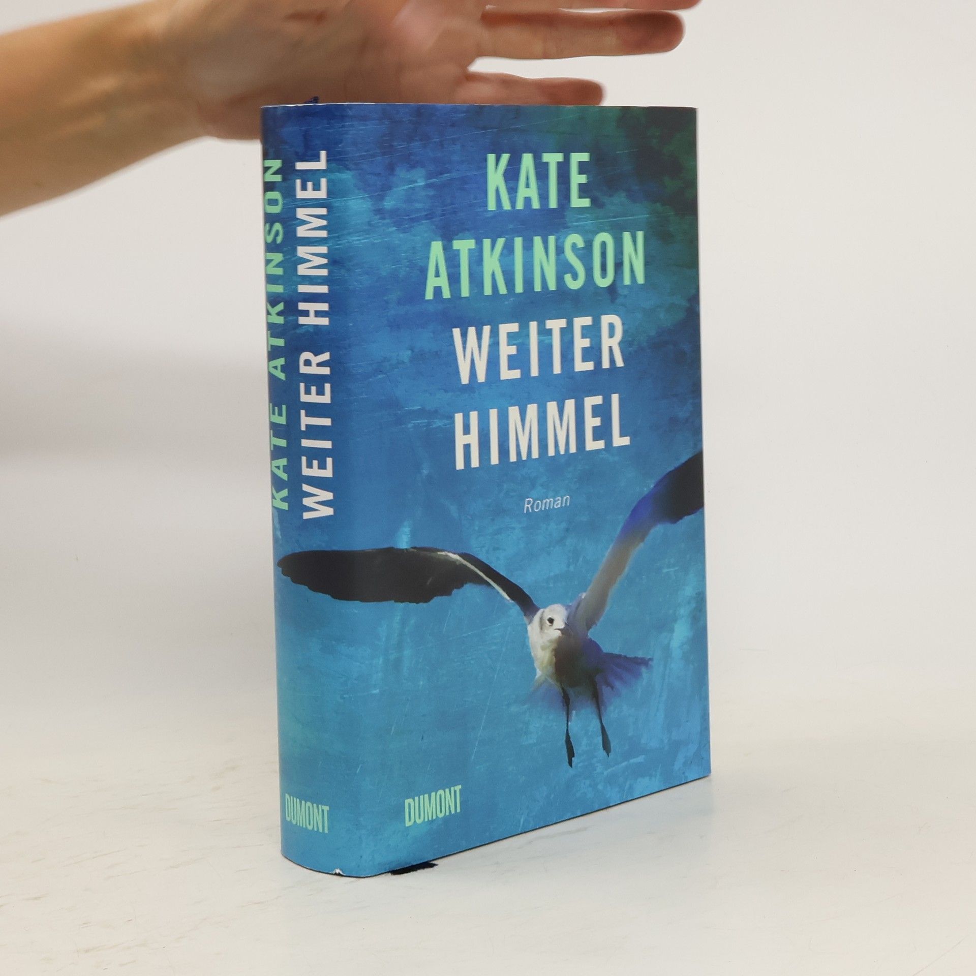 Kate Atkinson Weiter Himmel