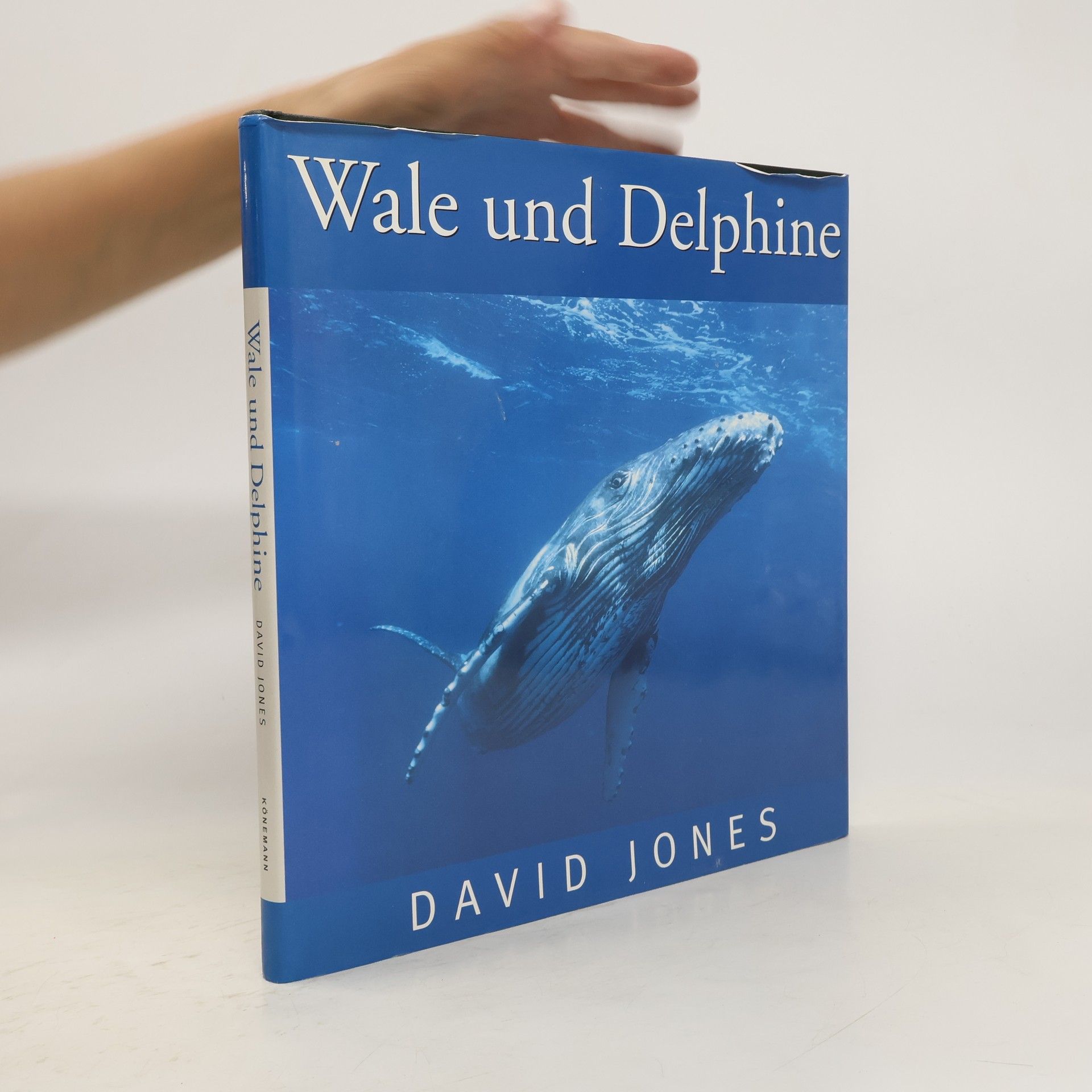 David Jones Wale und Delphine