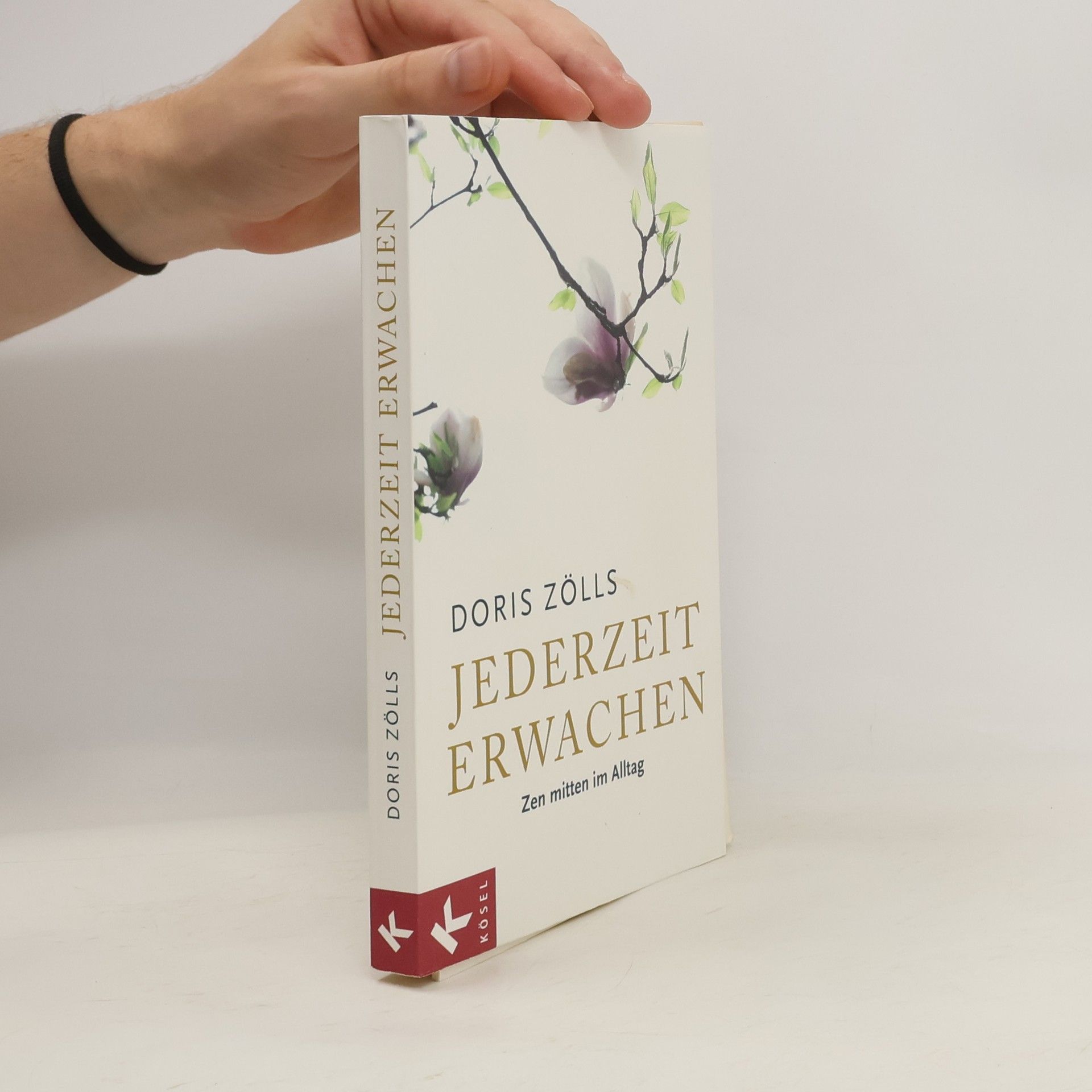 Doris Zölls Jederzeit erwachen. Zen mitten im Alltag