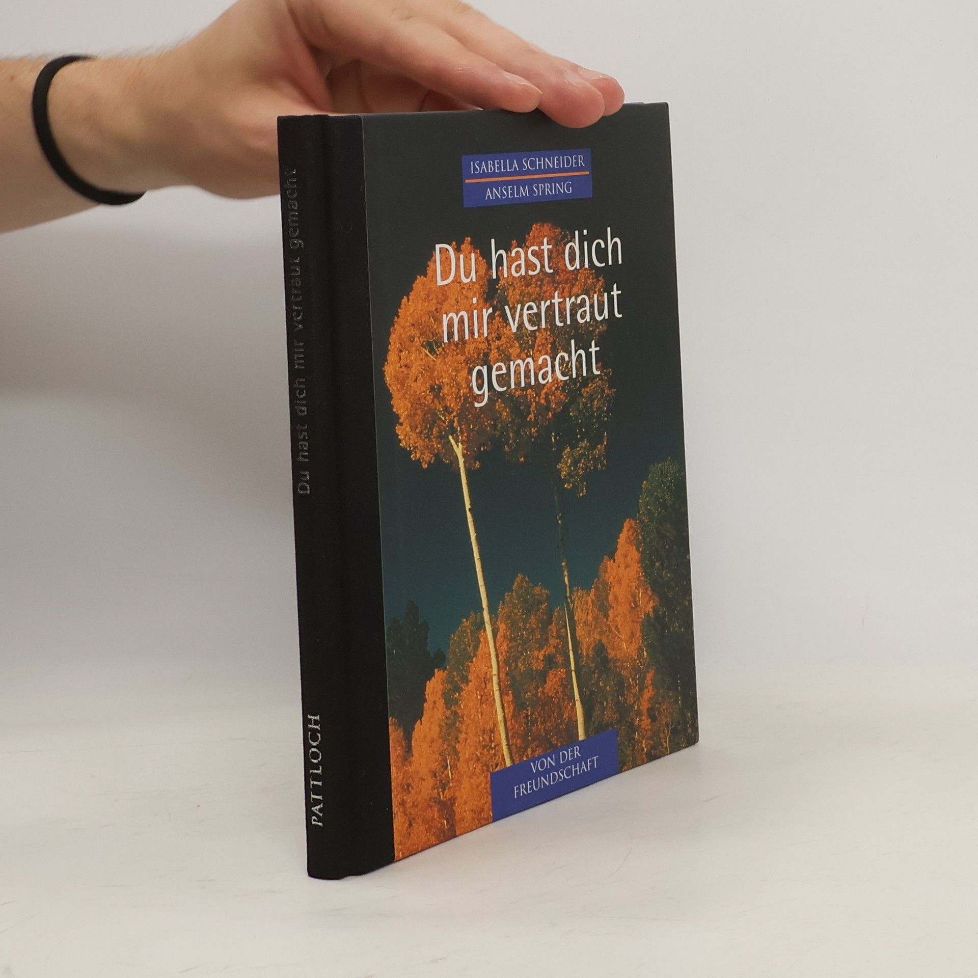 Isabella Schneider Du Hast dich mir Vertraut Gemacht