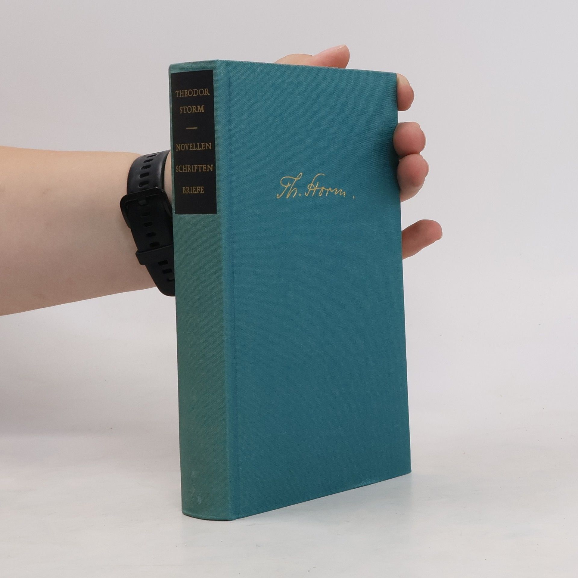 Hans Theodor Woldsen Storm Theodor Storm - Novellen, Schriften, Briefe