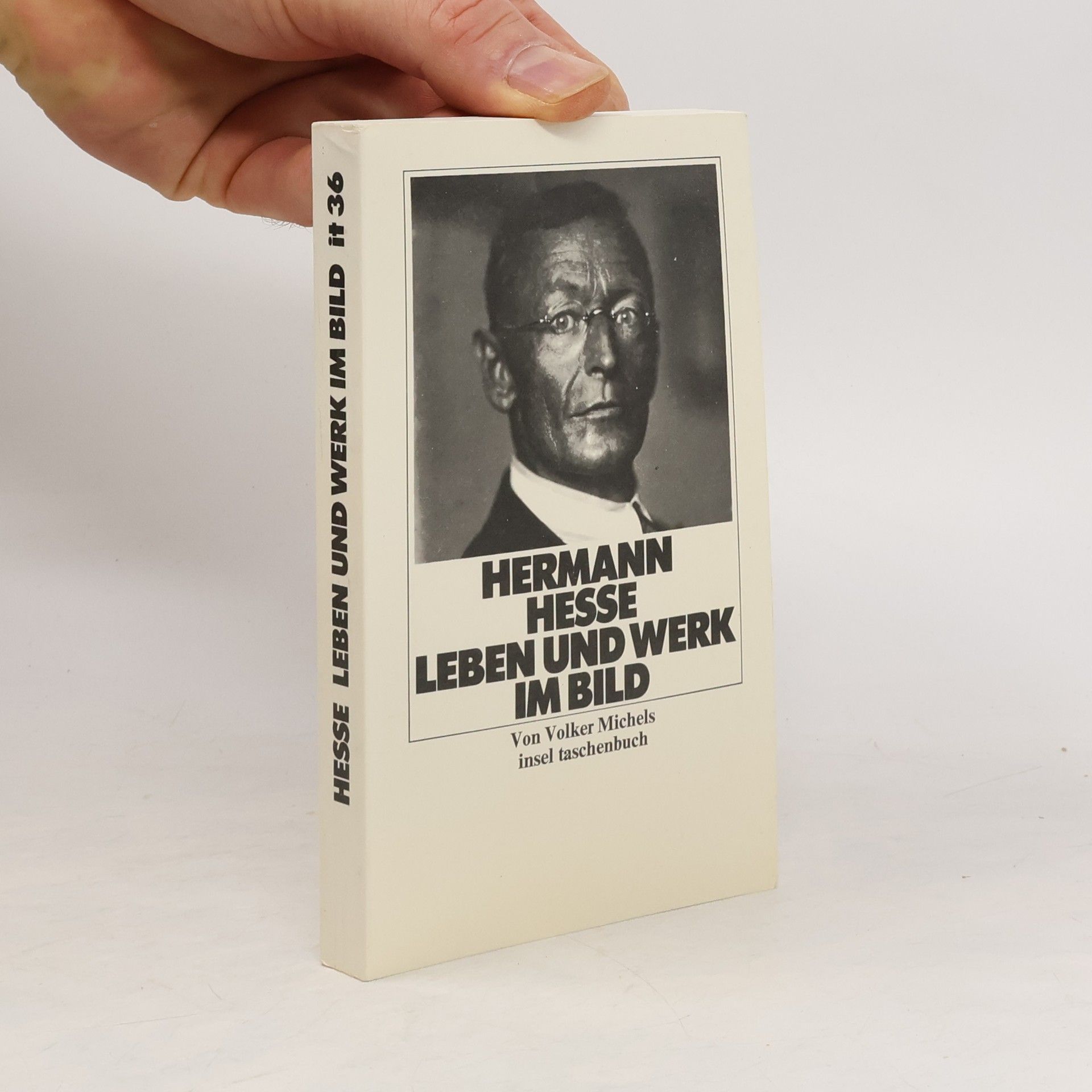 Volker Michels Hermann Hesse, Leben und Werk im Bild