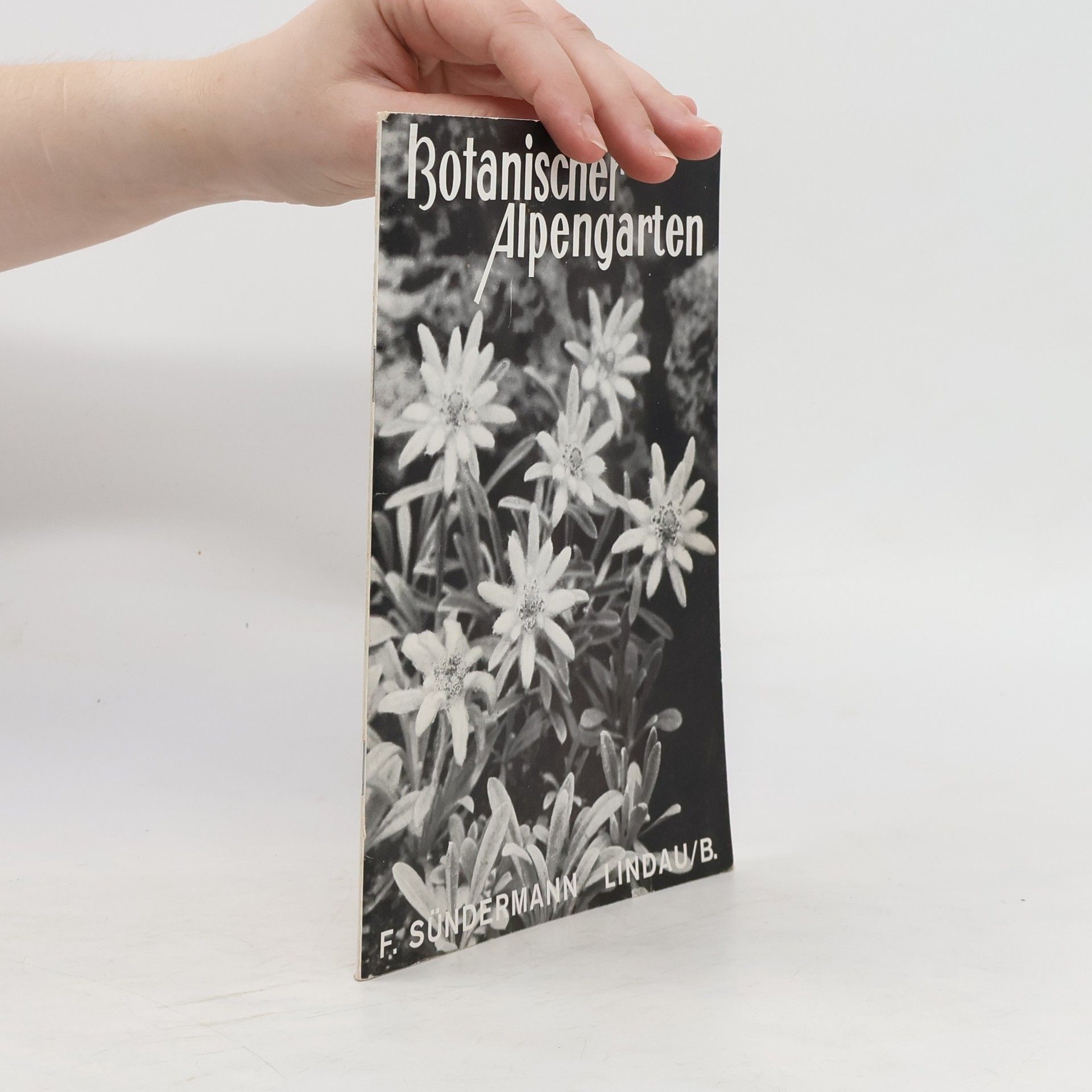 F. Sündermann Botanischer Alpengarten