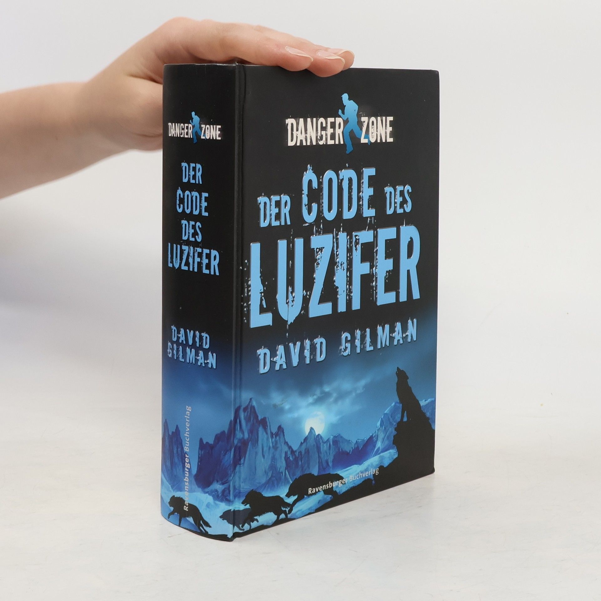 David Gilman Der Code des Luzifer