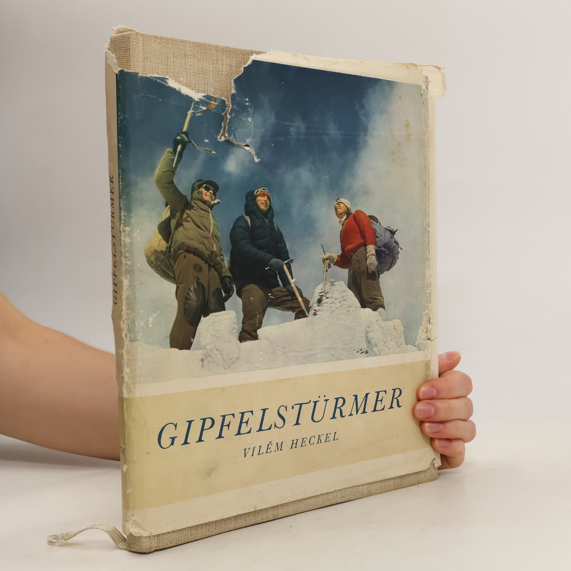 Collective Gipfelstürmer