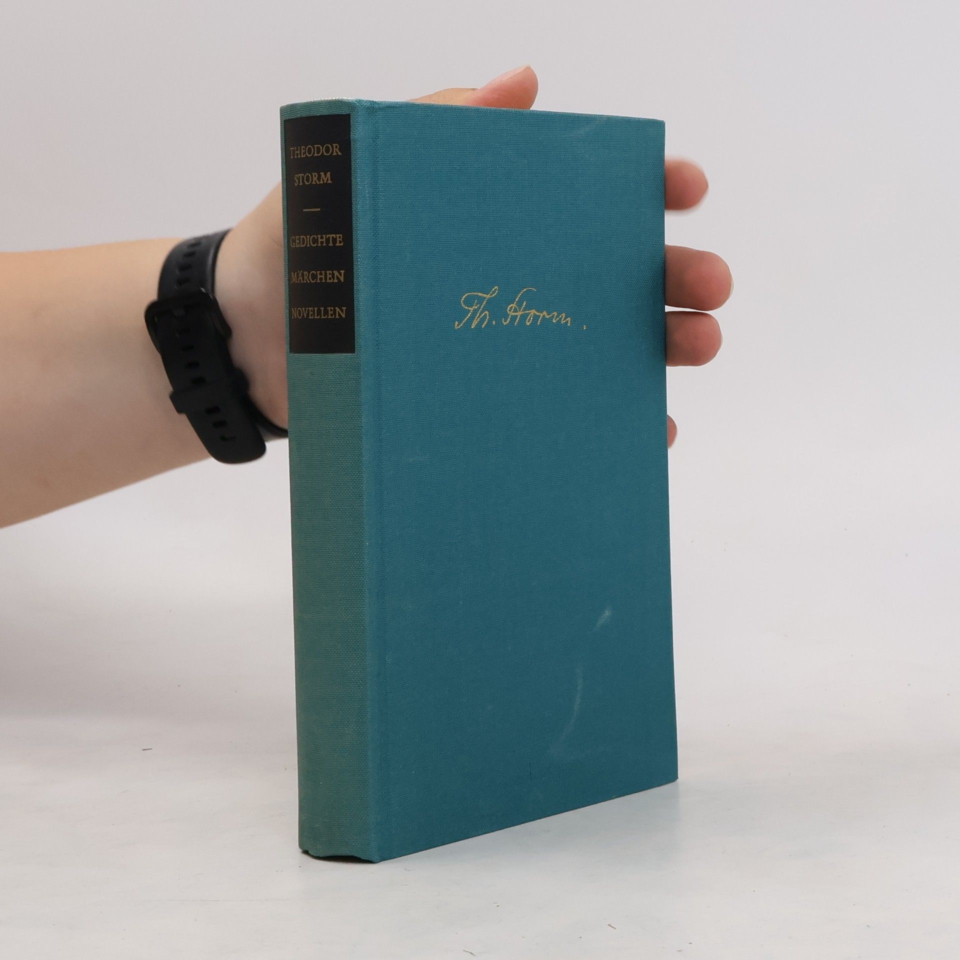 Hans Theodor Woldsen Storm Gedichte. Märchen. Novellen 1